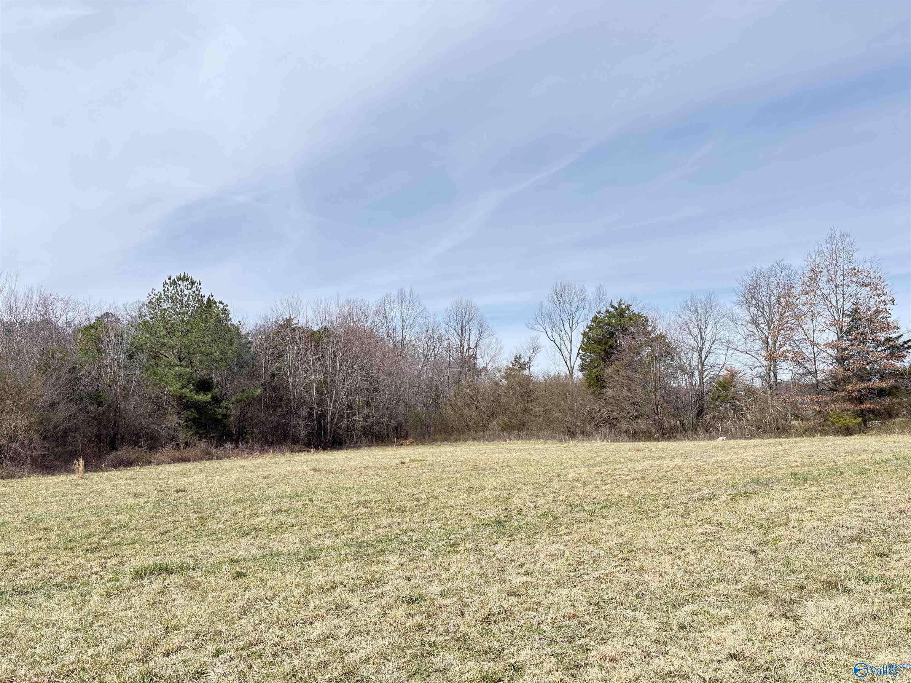 Ider, AL 35981,3.67 ac Hwy 75