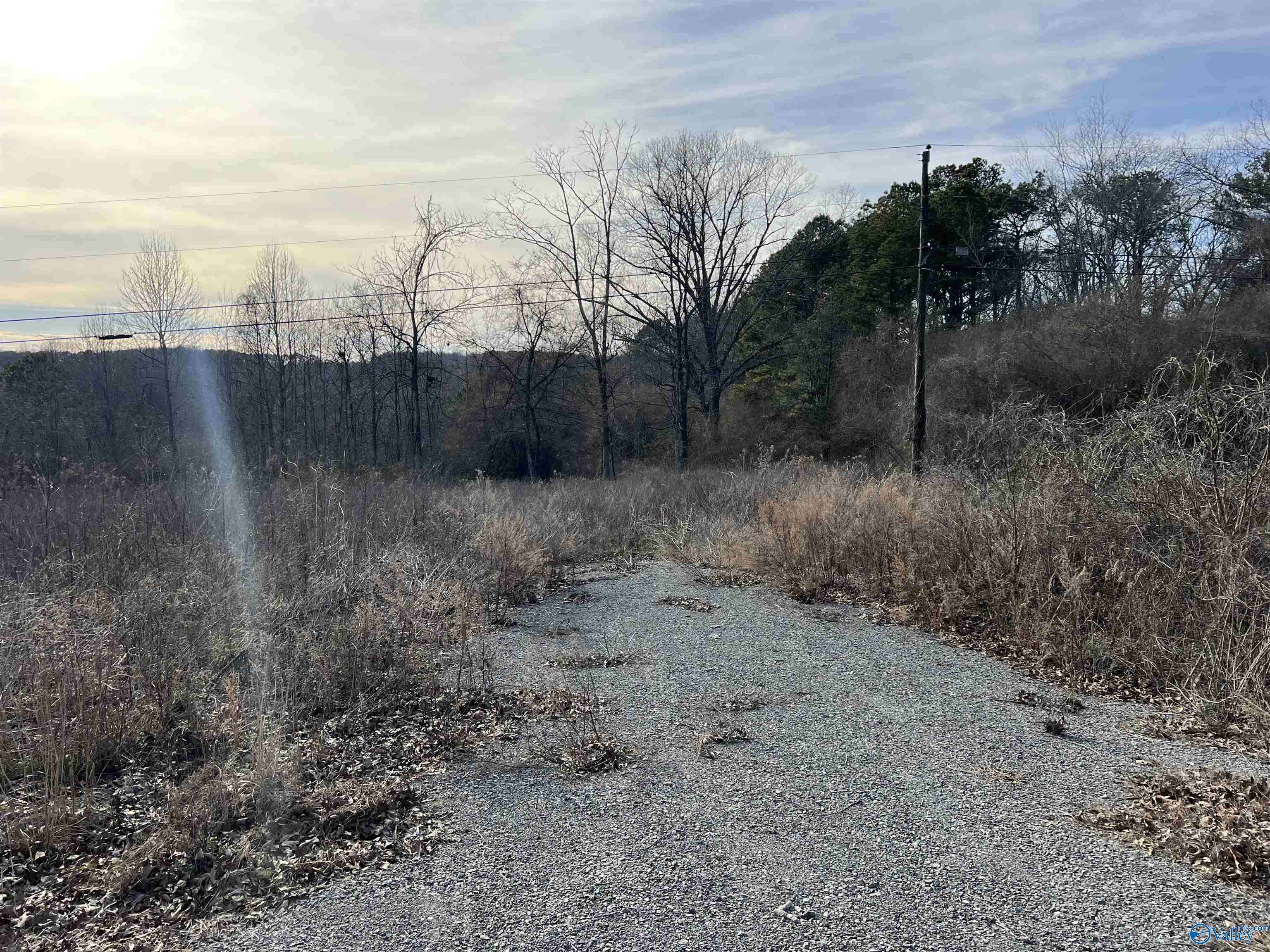 Arab, AL 35016,24 acres County Road 1825