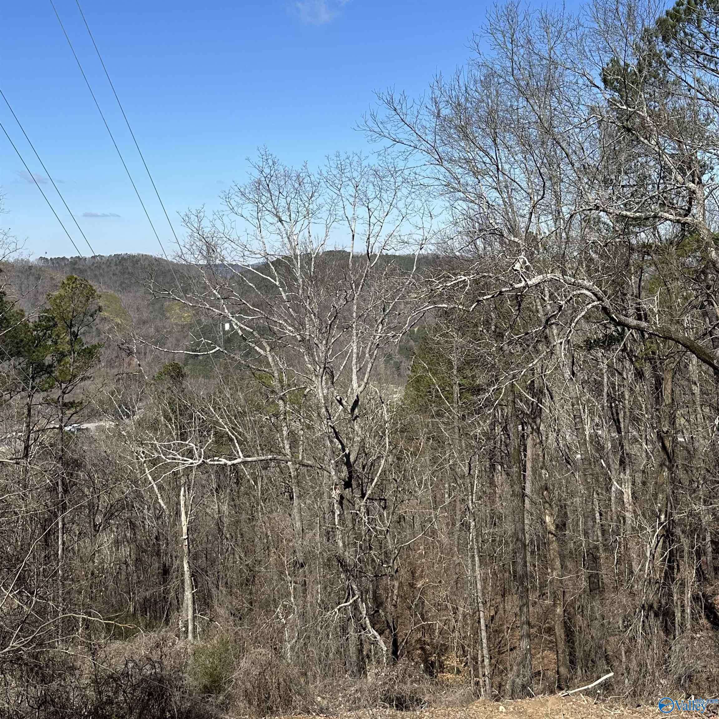 Gadsden, AL 35904,43 acres Scenic Drive