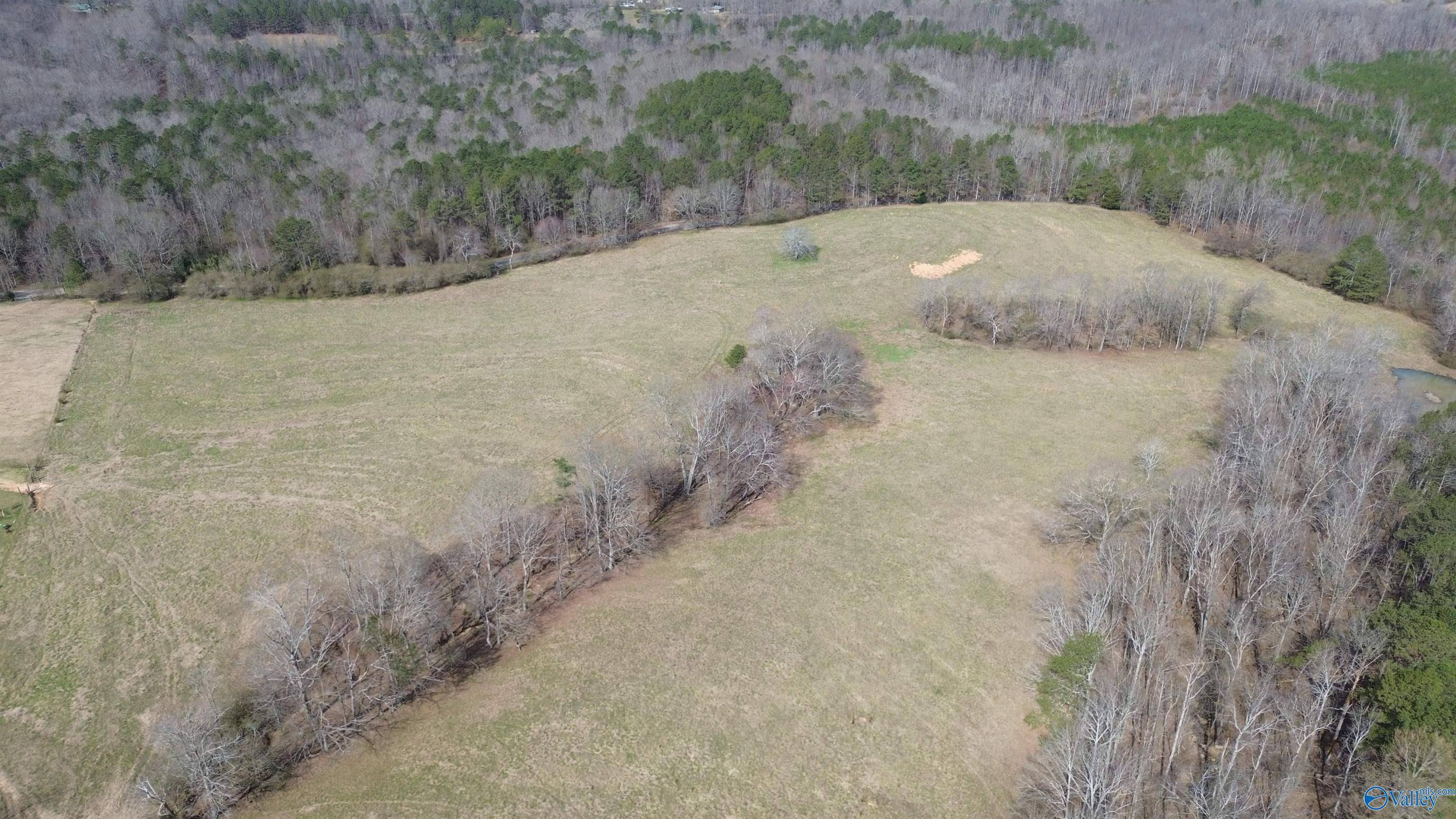 Altoona, AL 35952,1404 Burton Loop Road