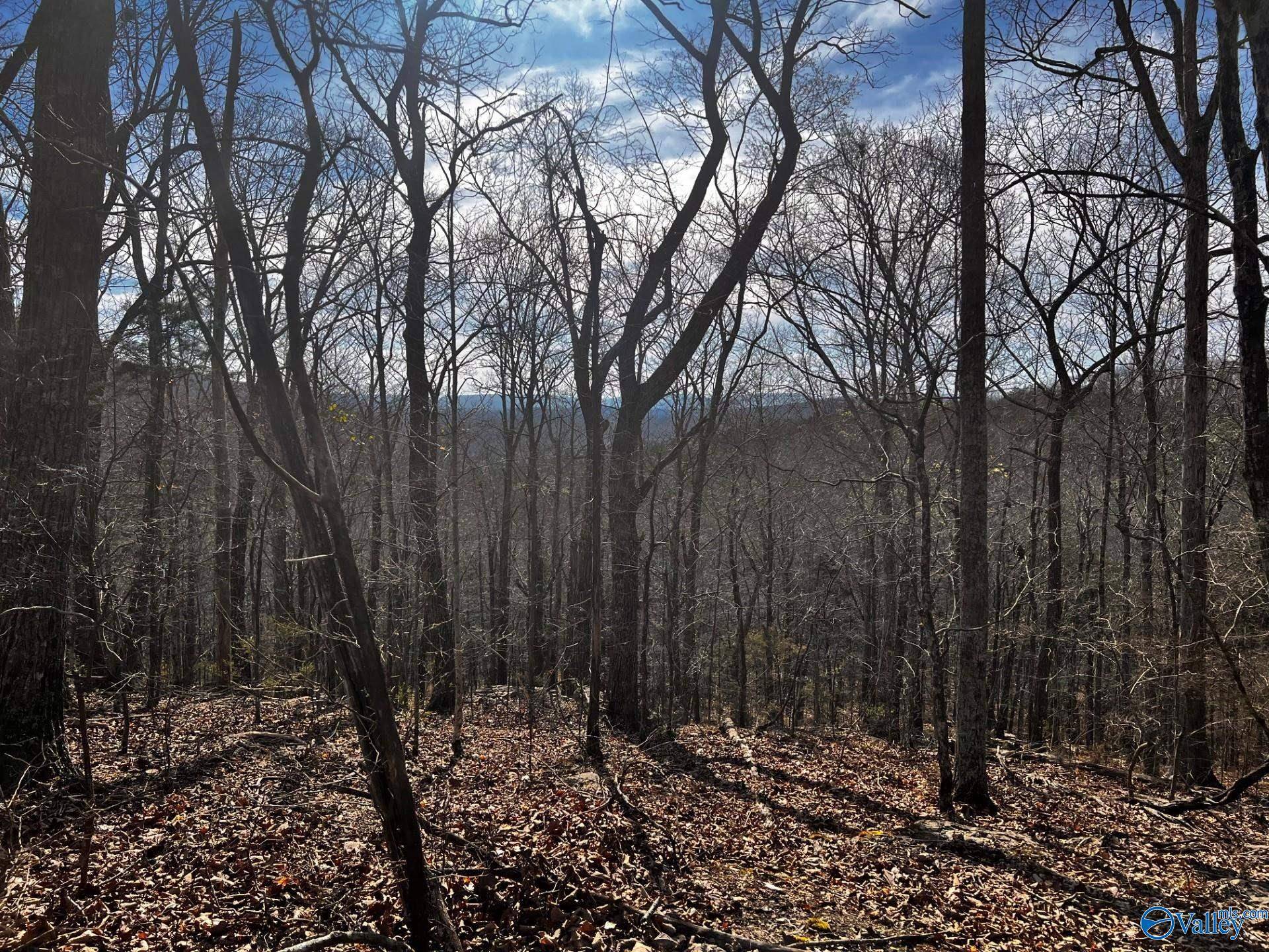 Grant, AL 35776,11.5 acres Holcomb Ridge Road