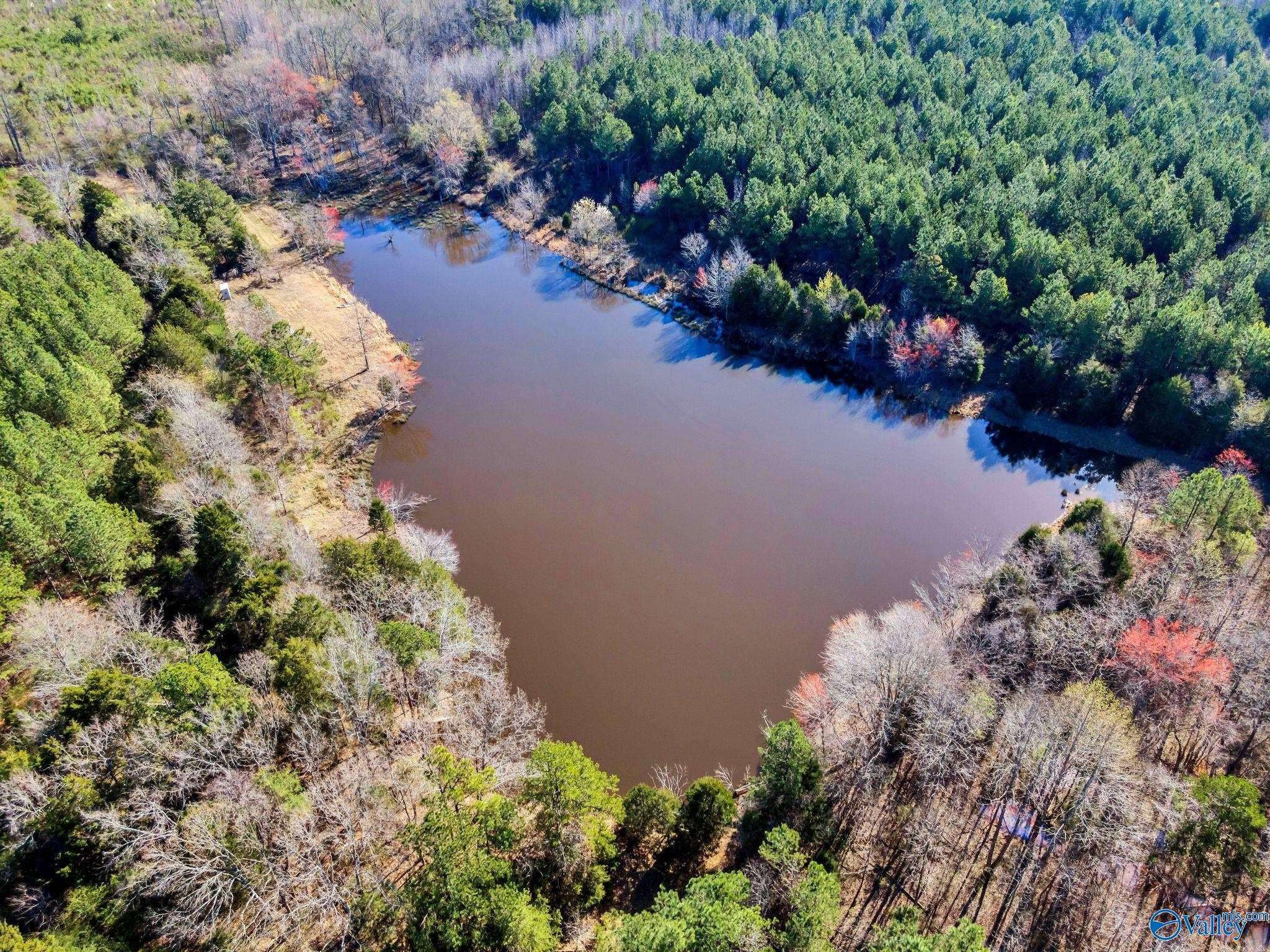 Town Creek, AL 35672,10354 Hwy 101