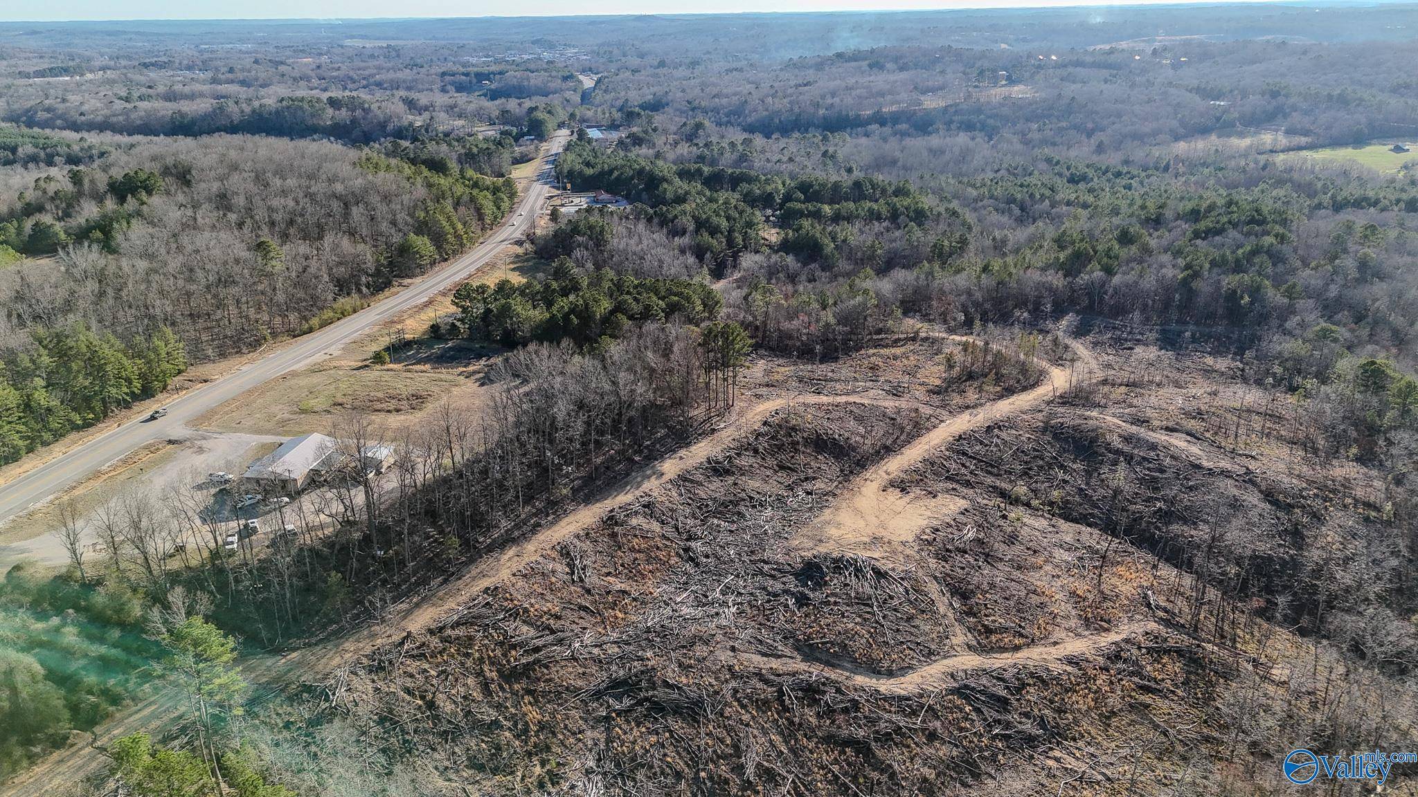 Hamilton, AL 35570,32 Acres Hwy 43