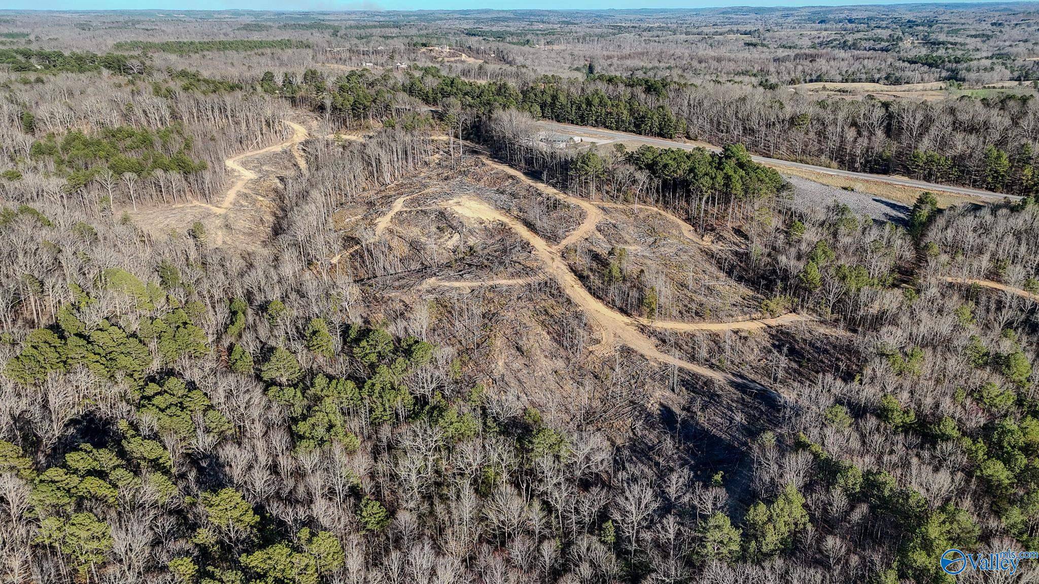 Hamilton, AL 35570,32 Acres Hwy 43