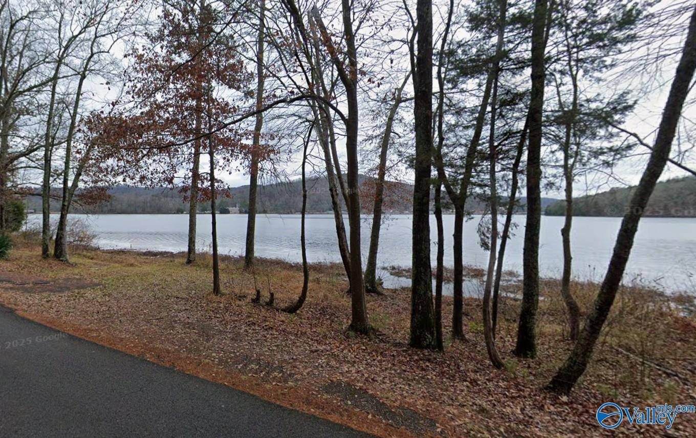 Grant, AL 35747,Lot 3 White Elephant Road