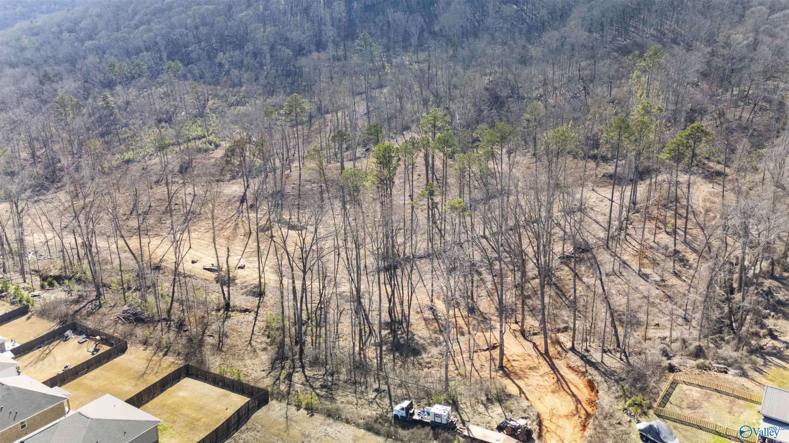 Owens Cross Roads, AL 35763,43 Acres Worley Drive
