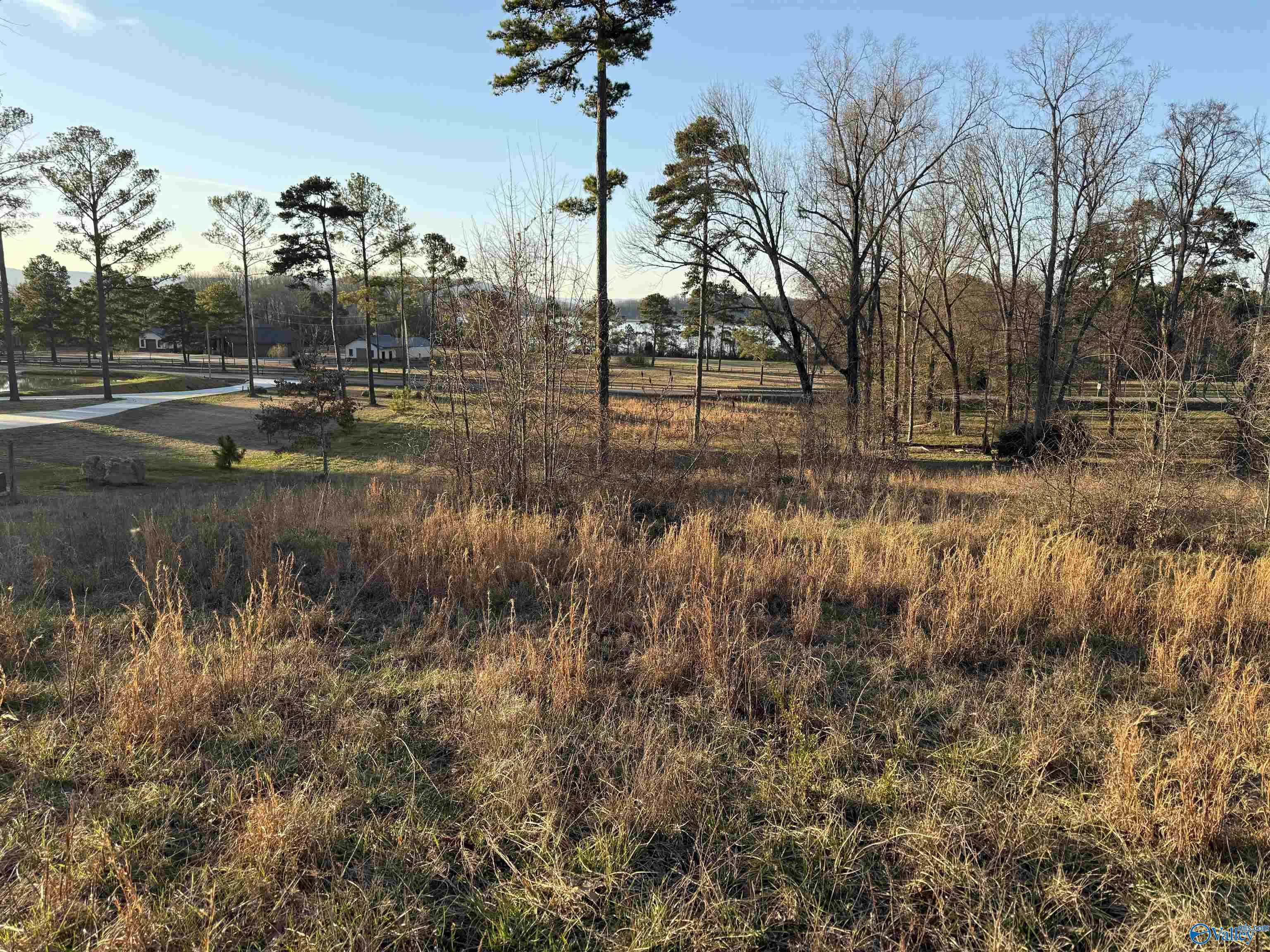 Section, AL 35771,39 Acres County Road 67