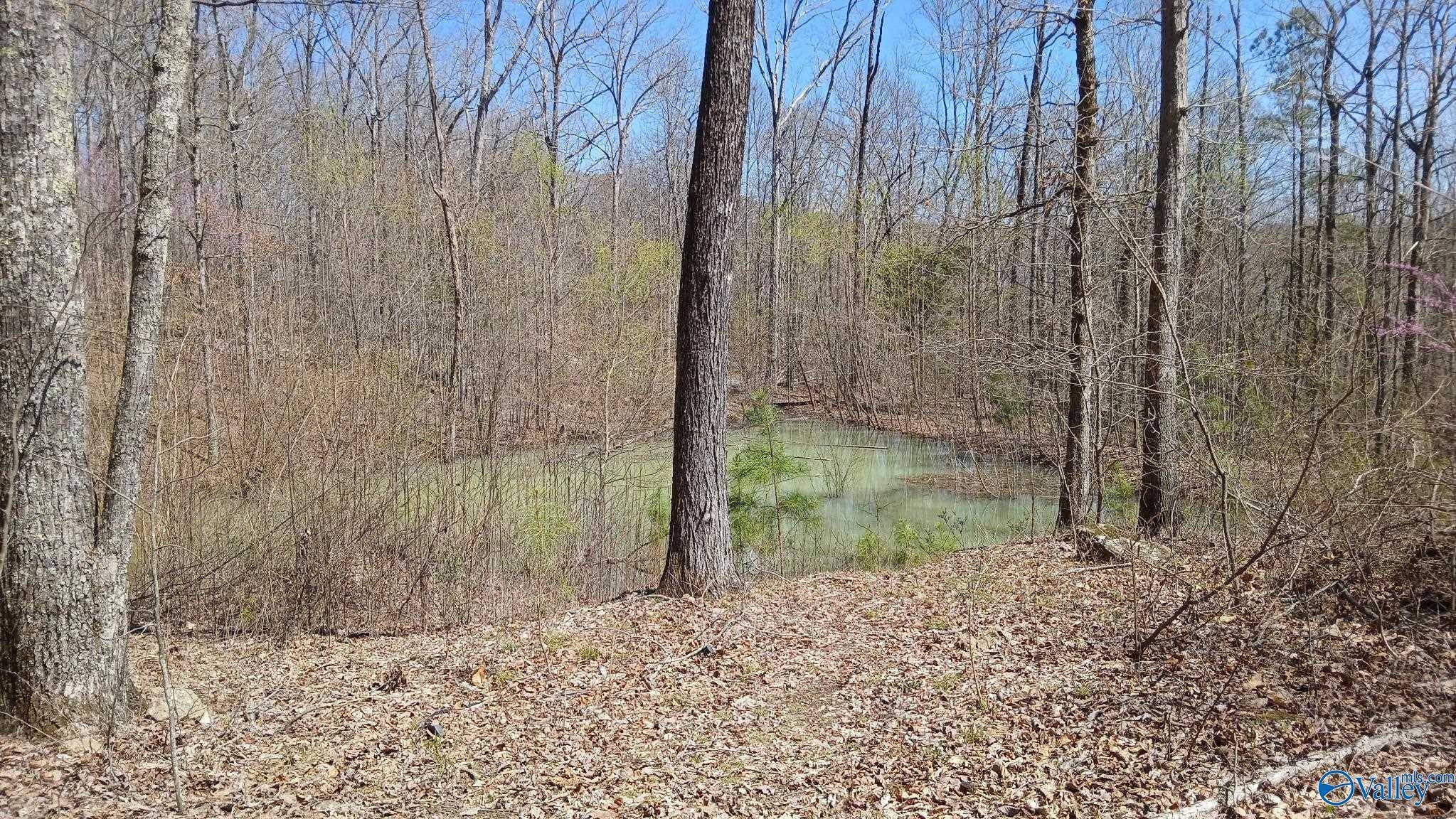 Gurley, AL 35748,377 Blowing Cave Road