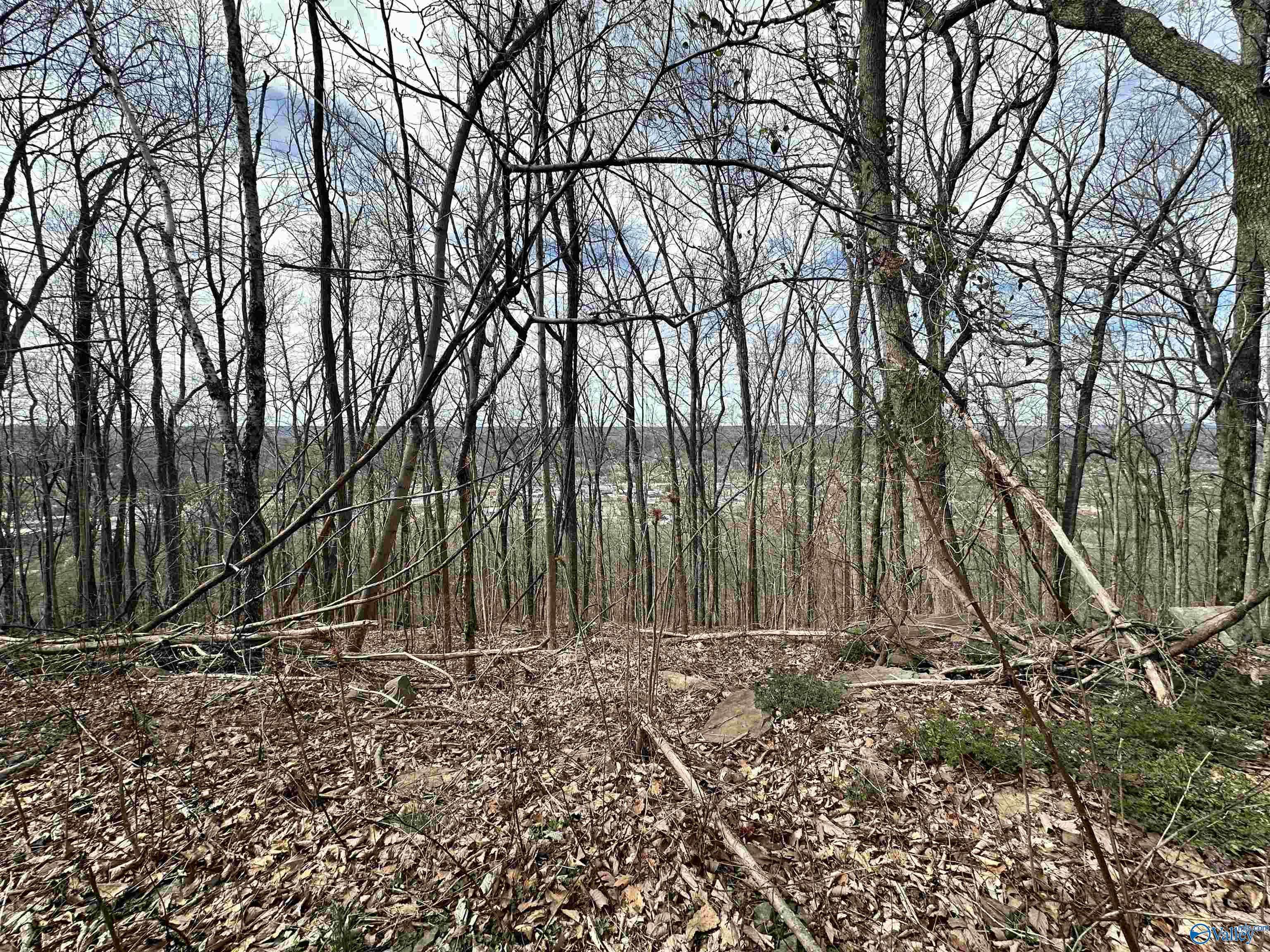 Fort Payne, AL 35967,lot 5 Rosewood Drive