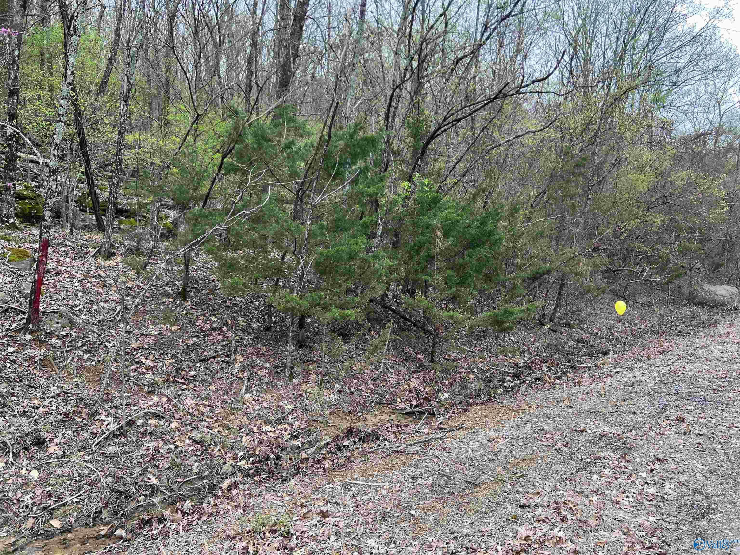 New Market, AL 35761,3.6 Acres Lewis Mountain Road