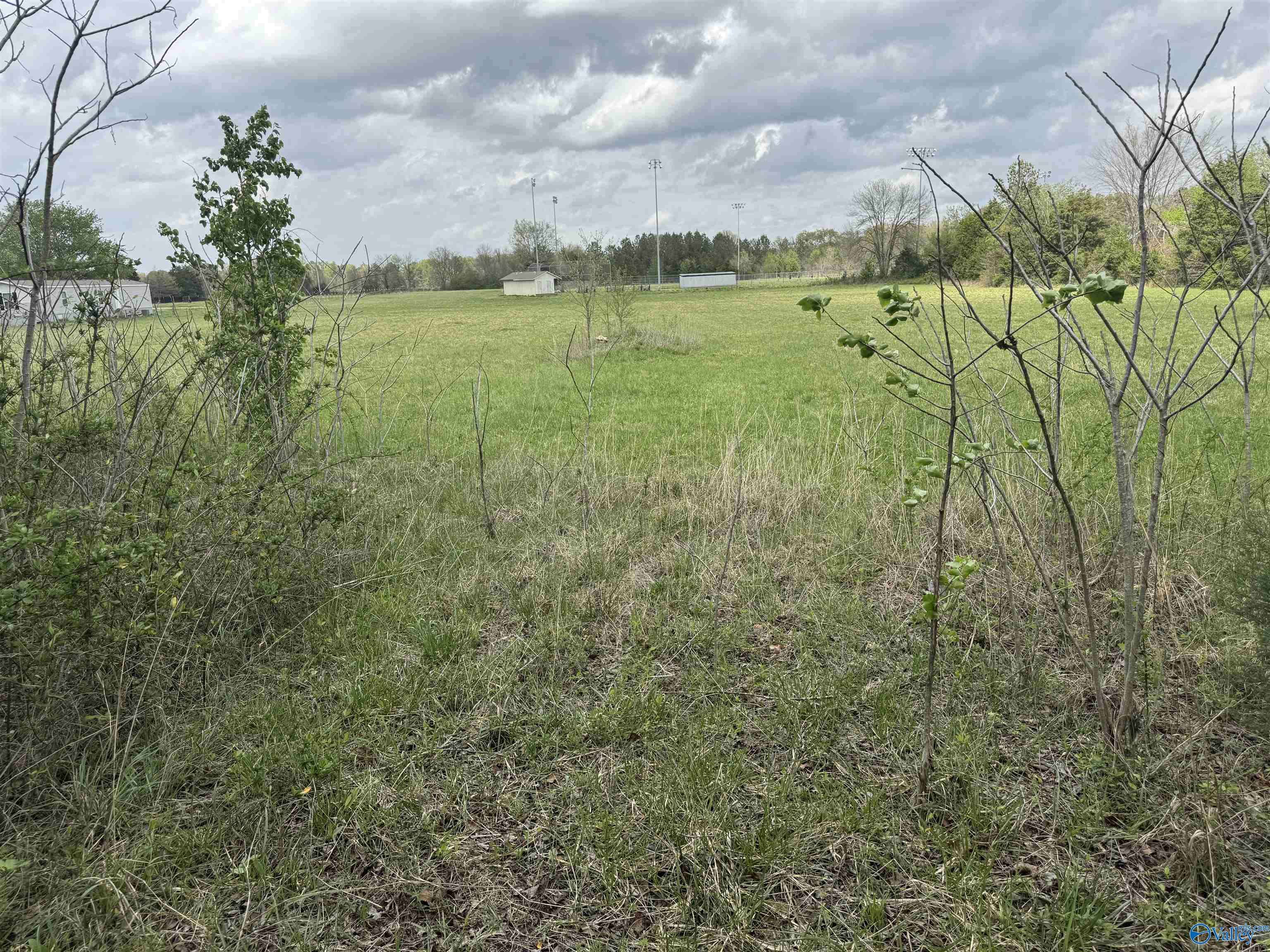 Danville, AL 35619,6.8 Acres Al Hwy 36