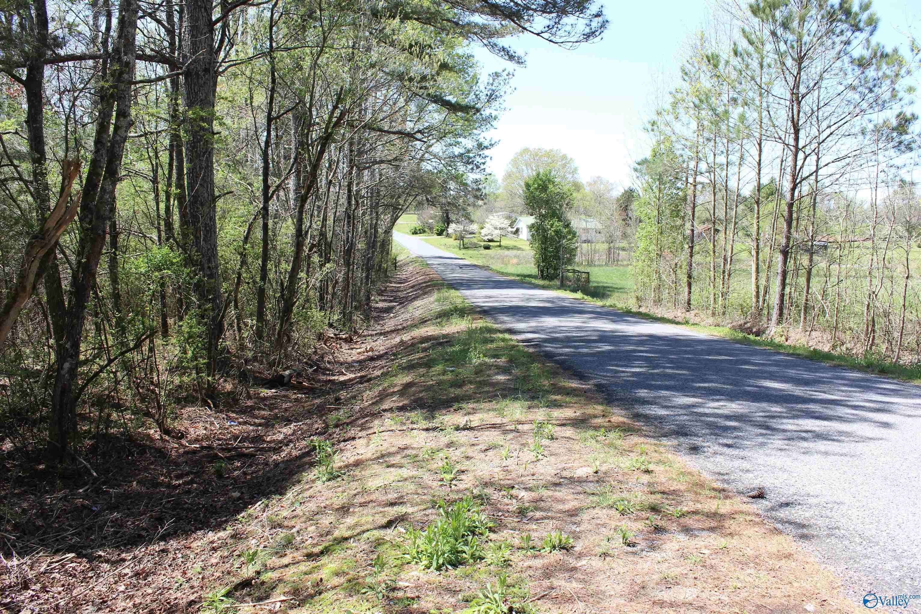 Fort Payne, AL 35968,4.8 County Road 122