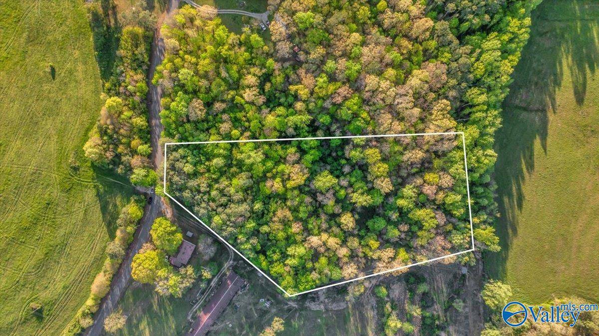 Section, AL 35771,5 ACRES County Road 48