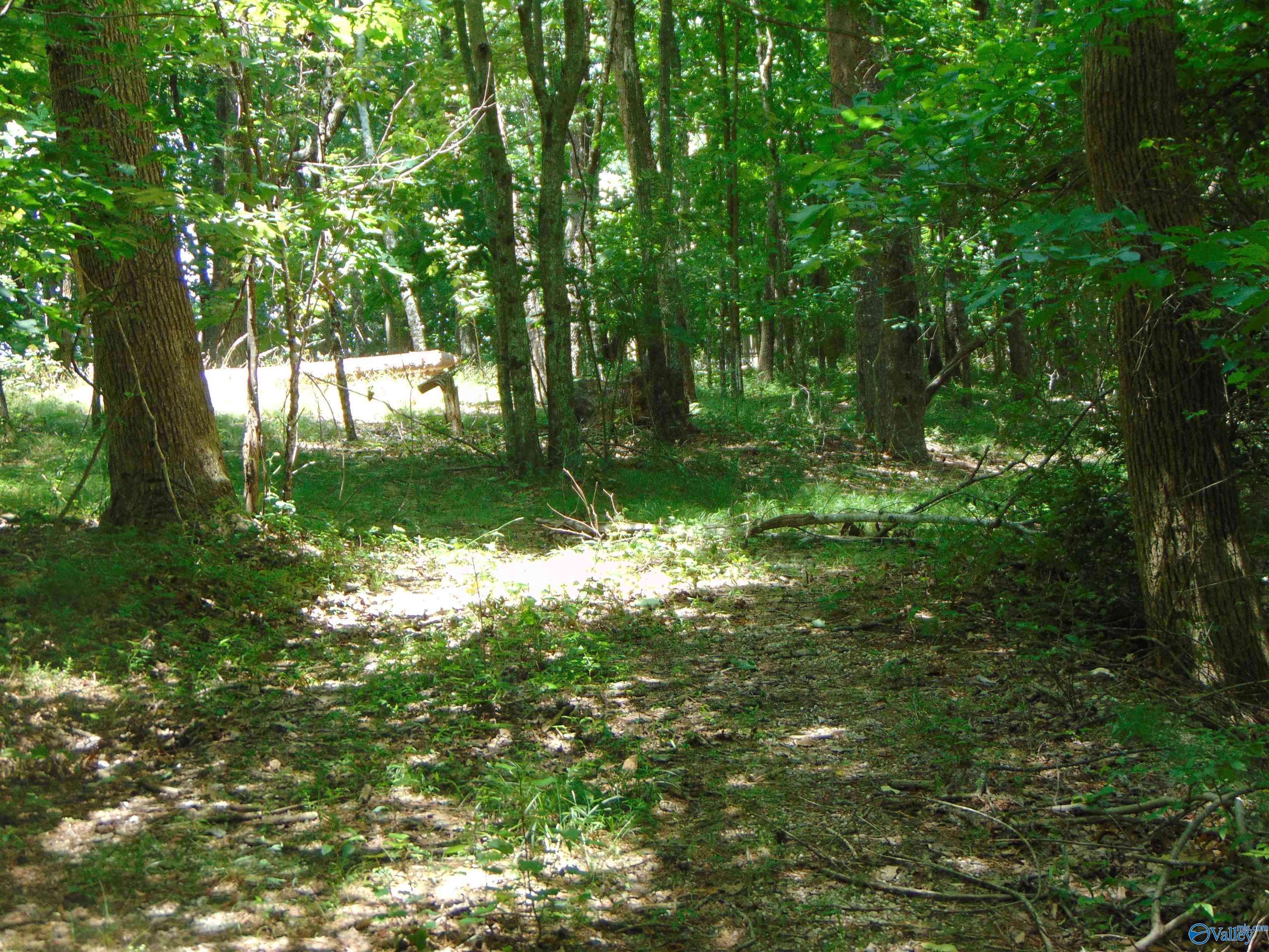 Mentone, AL 35984,lot 22 County Road 89
