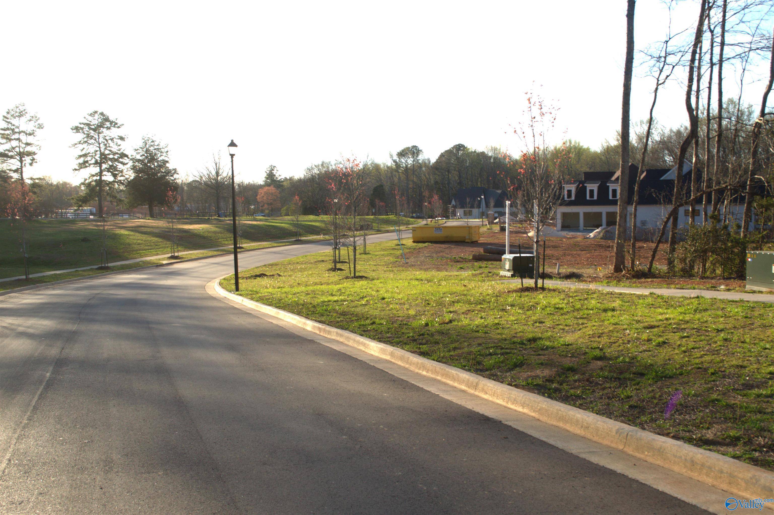 Madison, AL 35758,Lot 5 Madison Branch Boulevard
