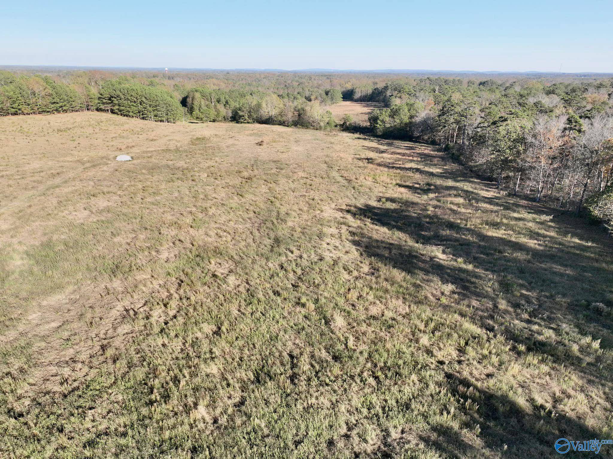 Boaz, AL 35956,10 Acres Pleasant Hill Church Road