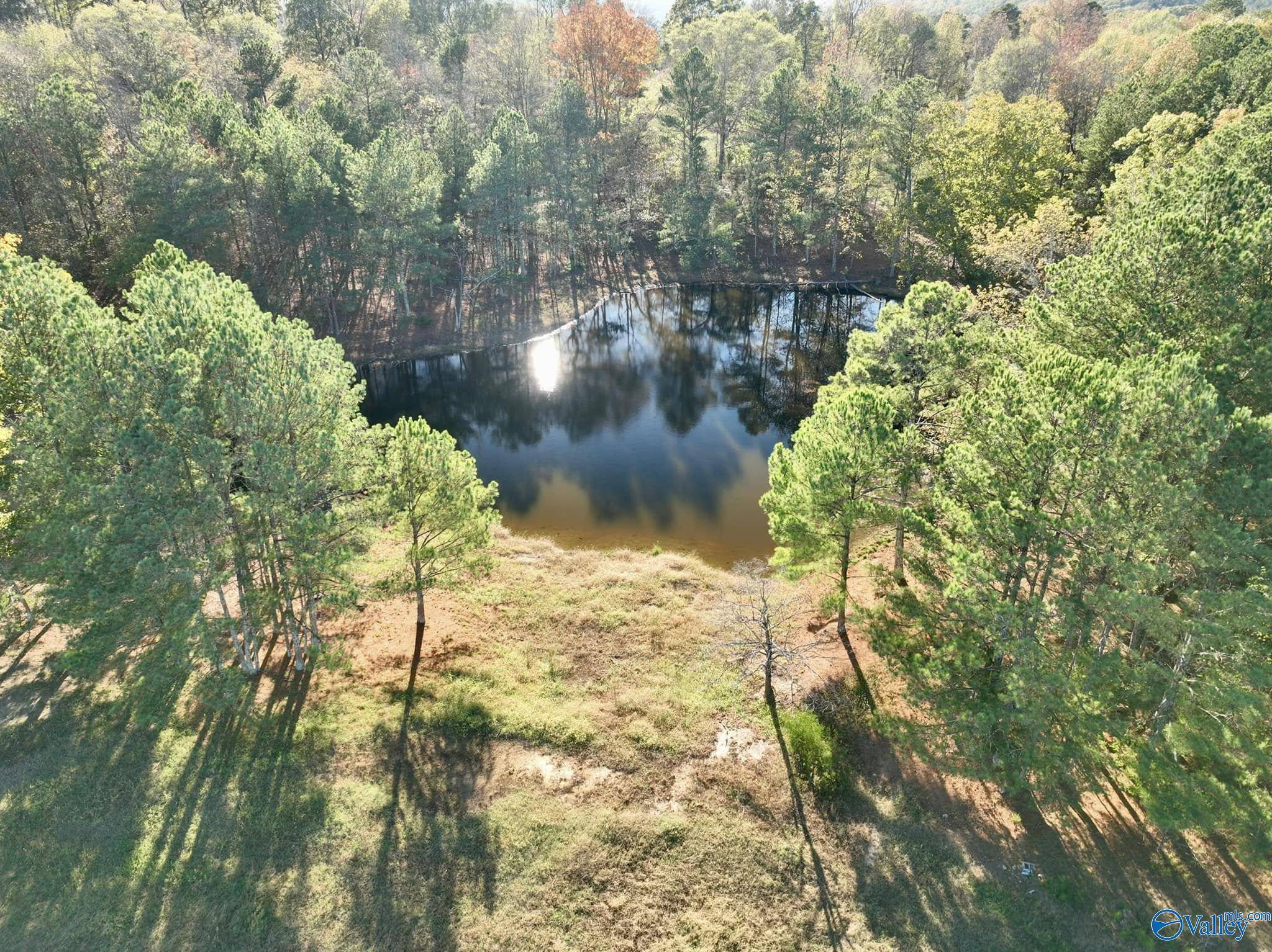 Boaz, AL 35956,10 Acres Pleasant Hill Church Road