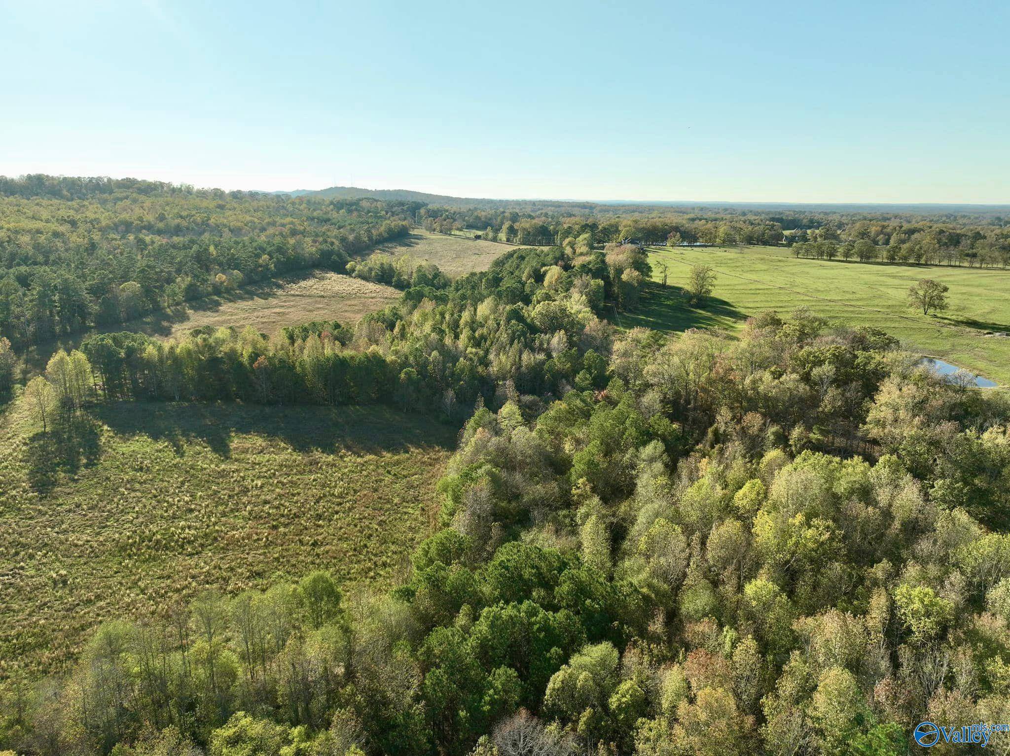 Boaz, AL 35956,3 Acres Pleasant Hill Church Road