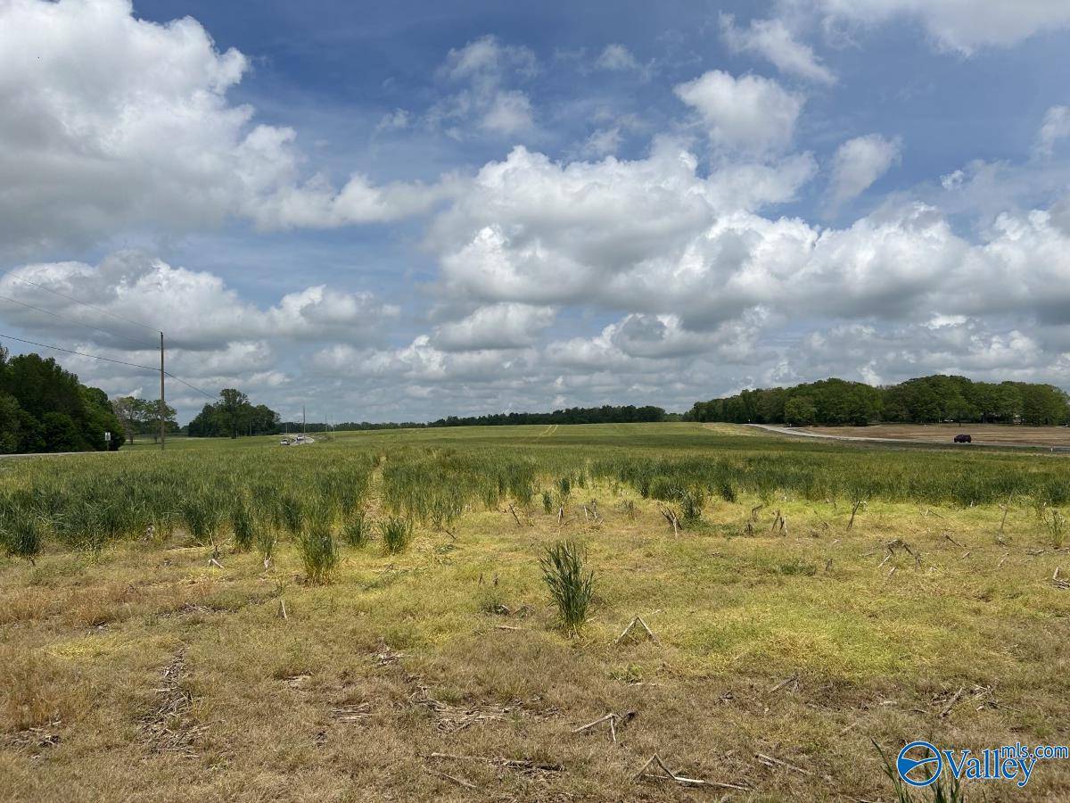 Anderson, AL 35610,54 ACRES Hwy 207