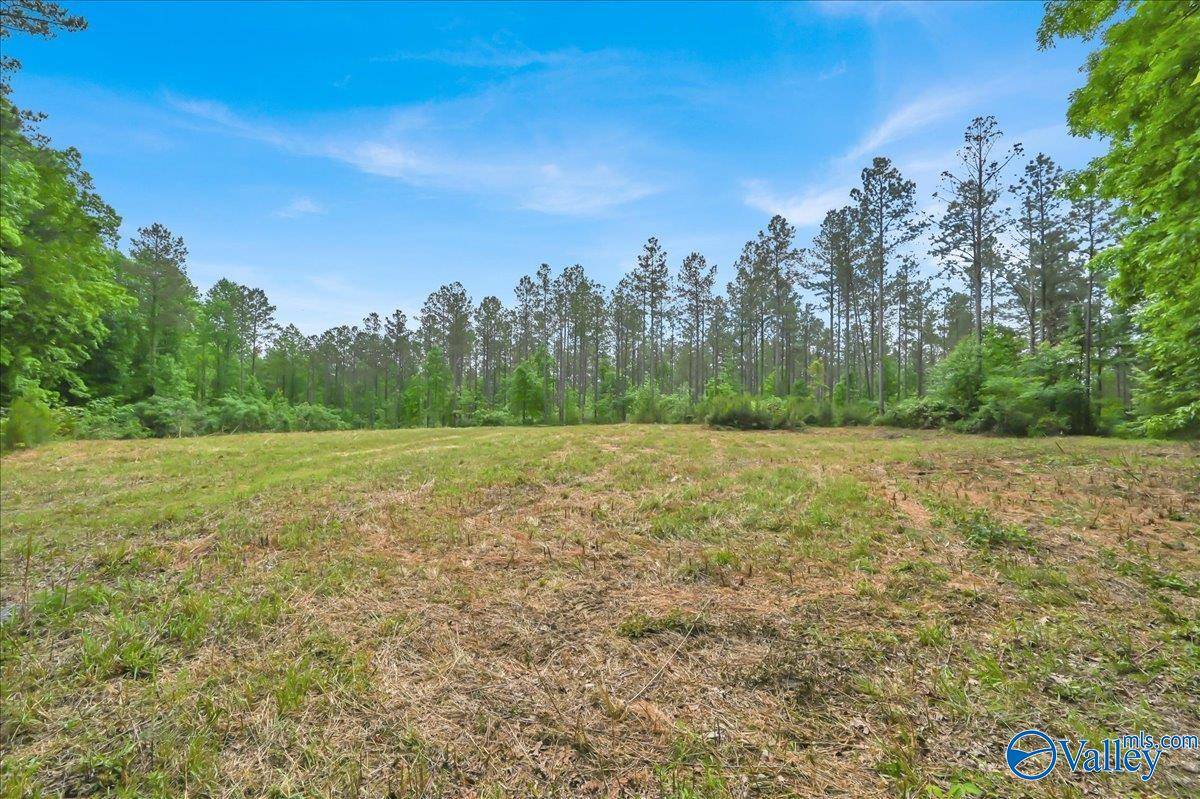 Vinemont, AL 35179,40 acres County Road 1208
