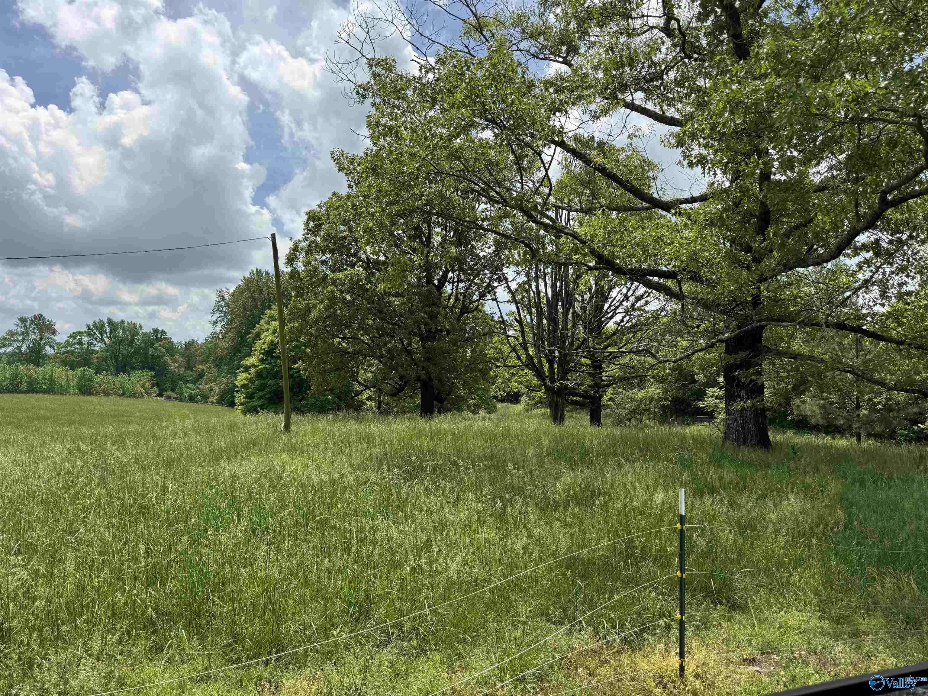 Woodville, AL 35776,5 Ac. County Road 8