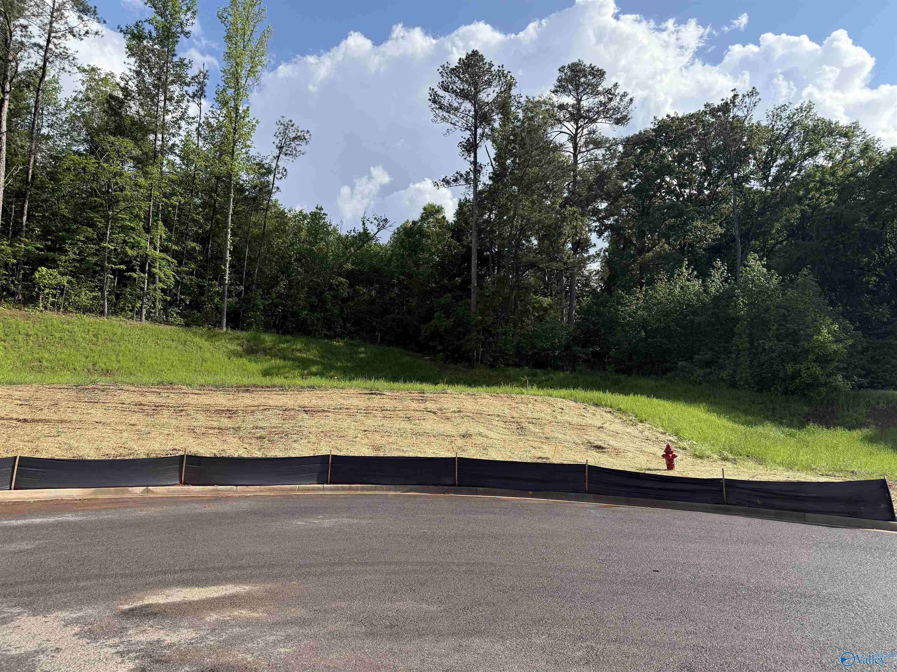 Guntersville, AL 35976,Lot 6 Tumbleweed Drive