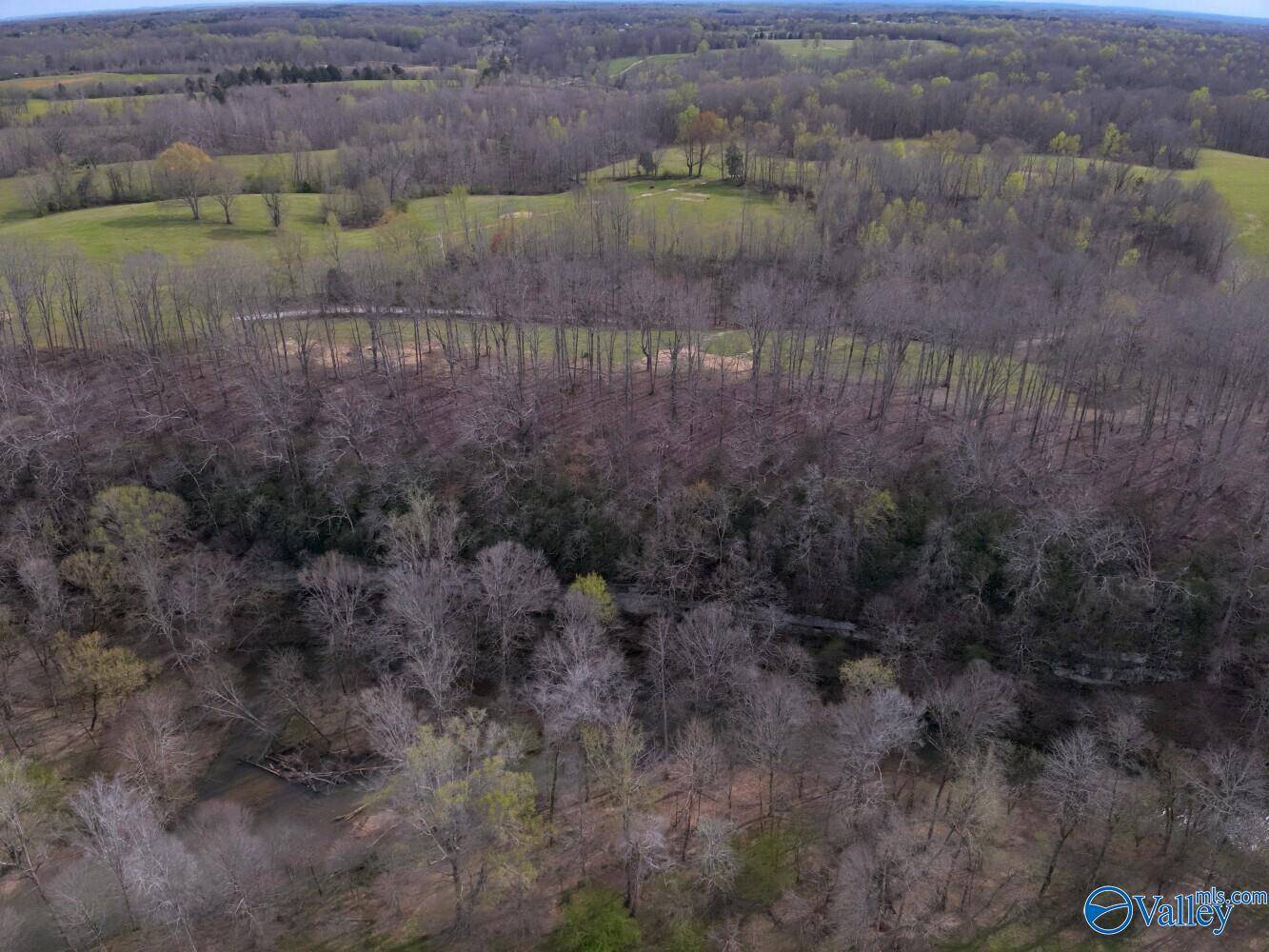 Lexington, AL 35648,33+/- Corum Circle