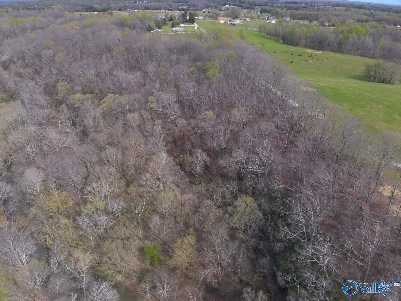 Lexington, AL 35648,33+/- Corum Circle