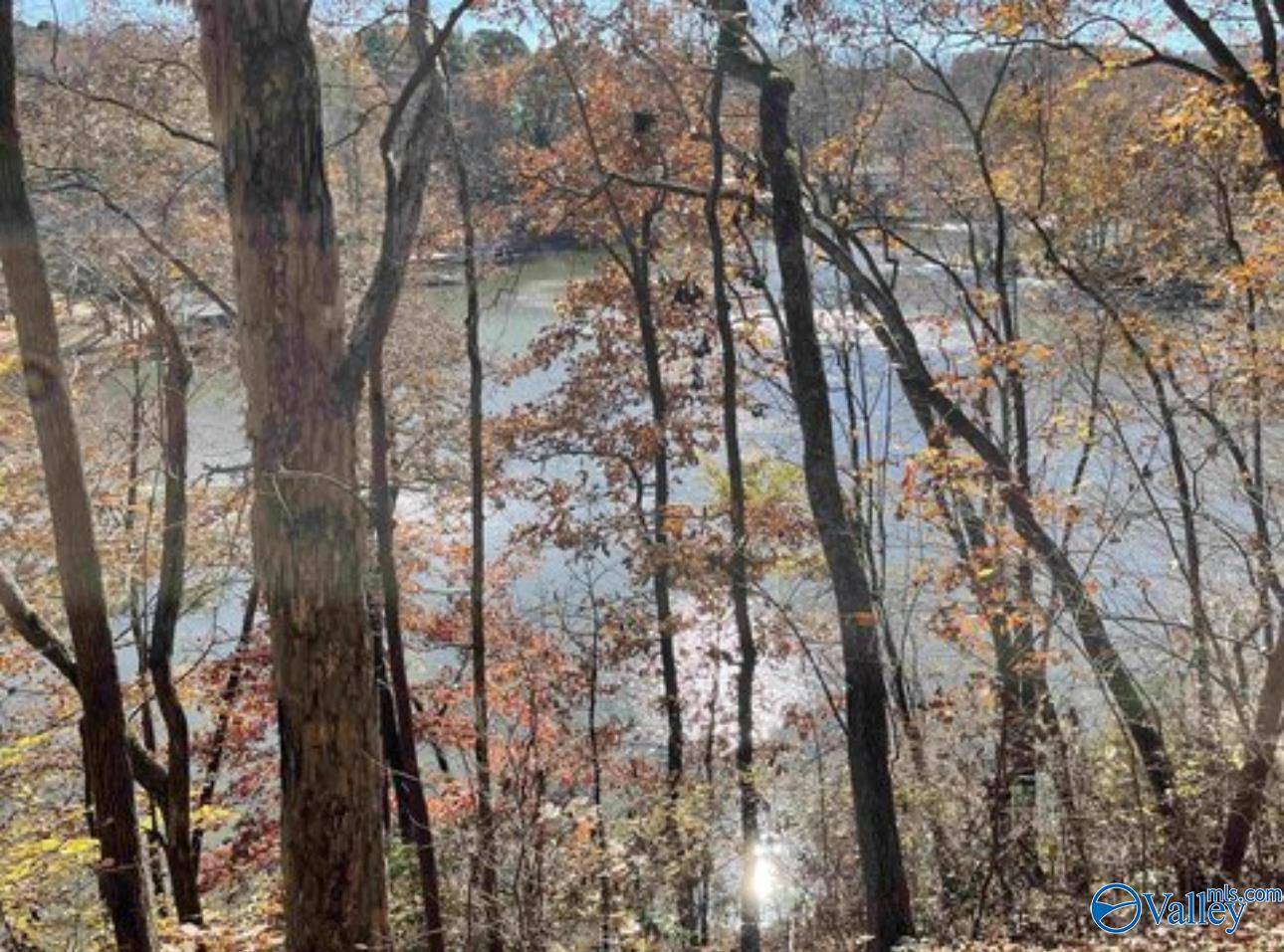 Killen, AL 35645,903 County Road 404