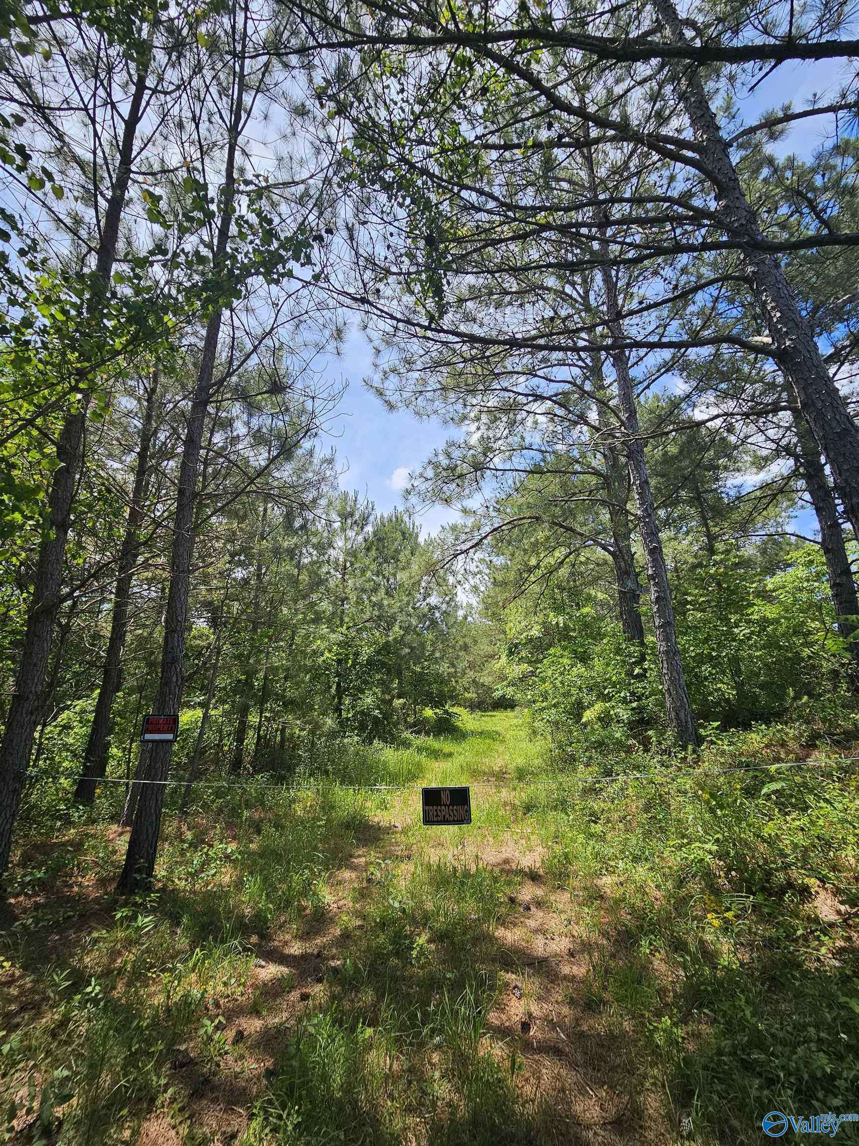 Fruithurst, AL 36262,Lot 3 County Road 40