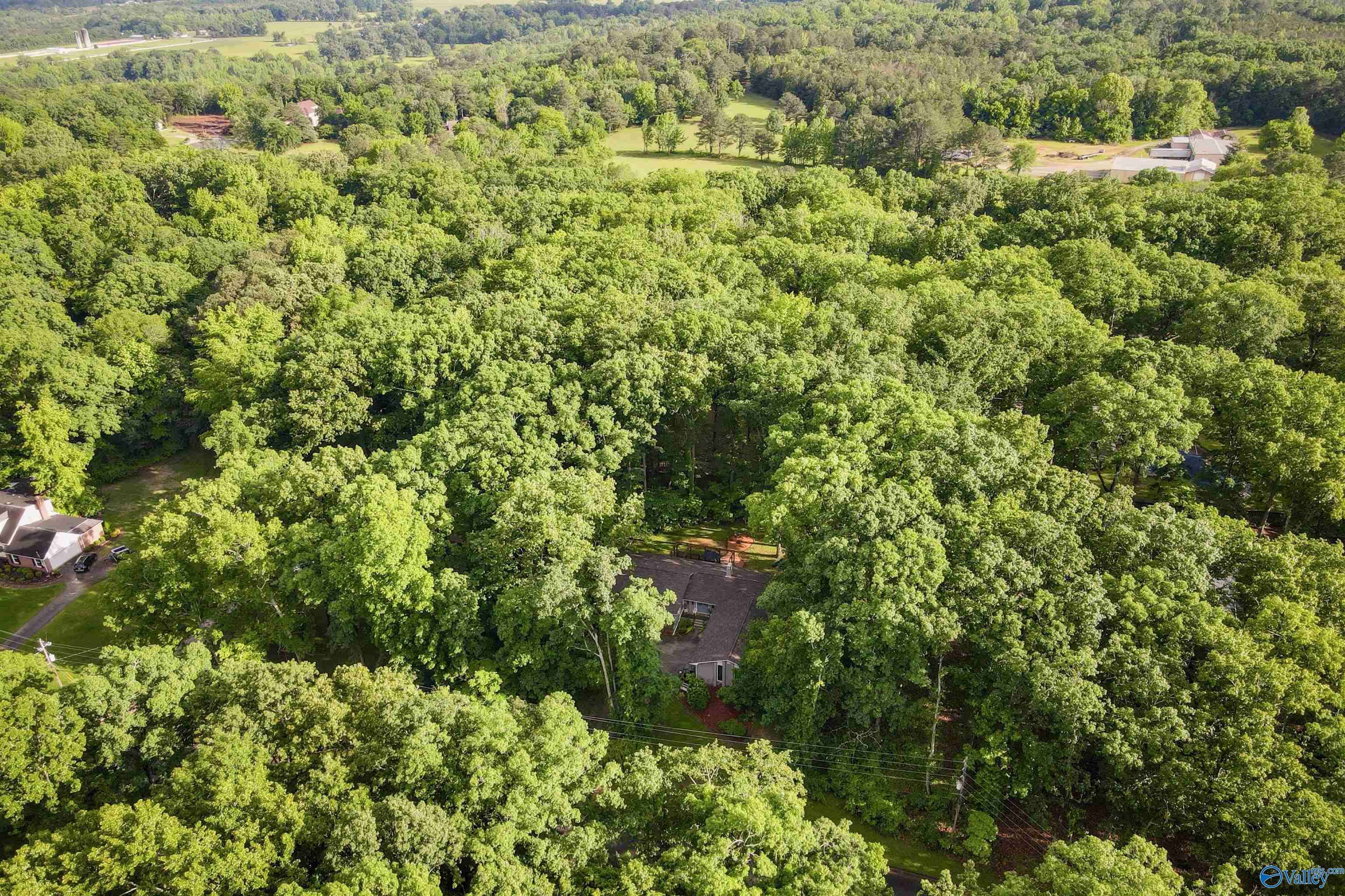 Decatur, AL 35603,3103 Burningtree Mountain Road