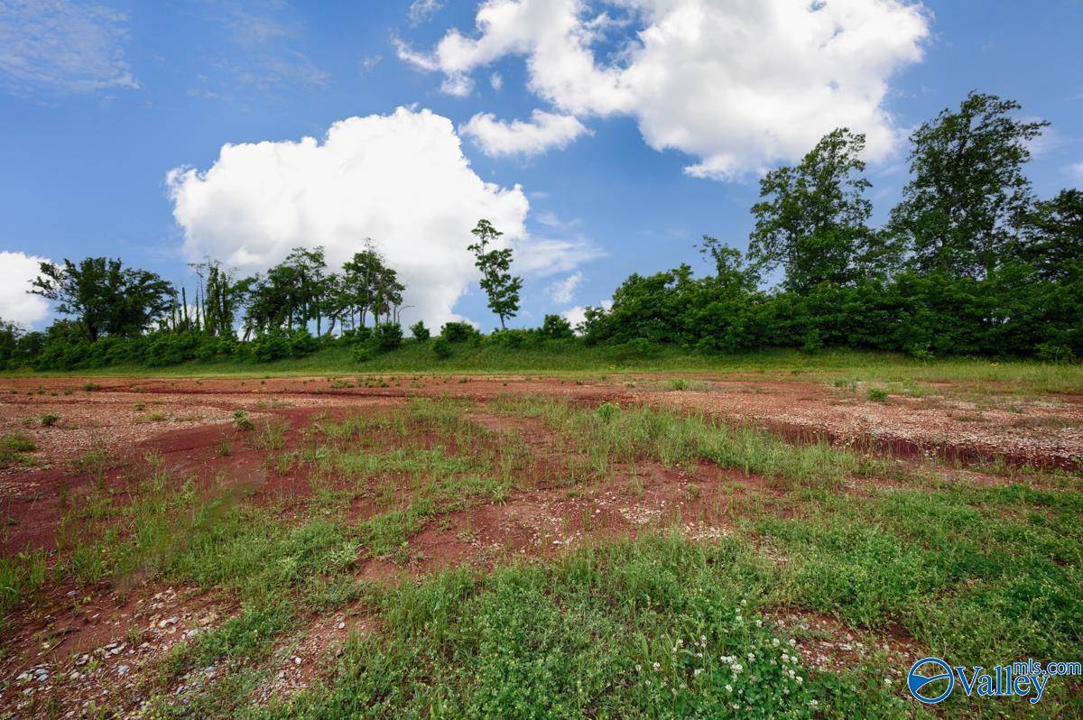 Madison, AL 35756,146 Knockash Hill