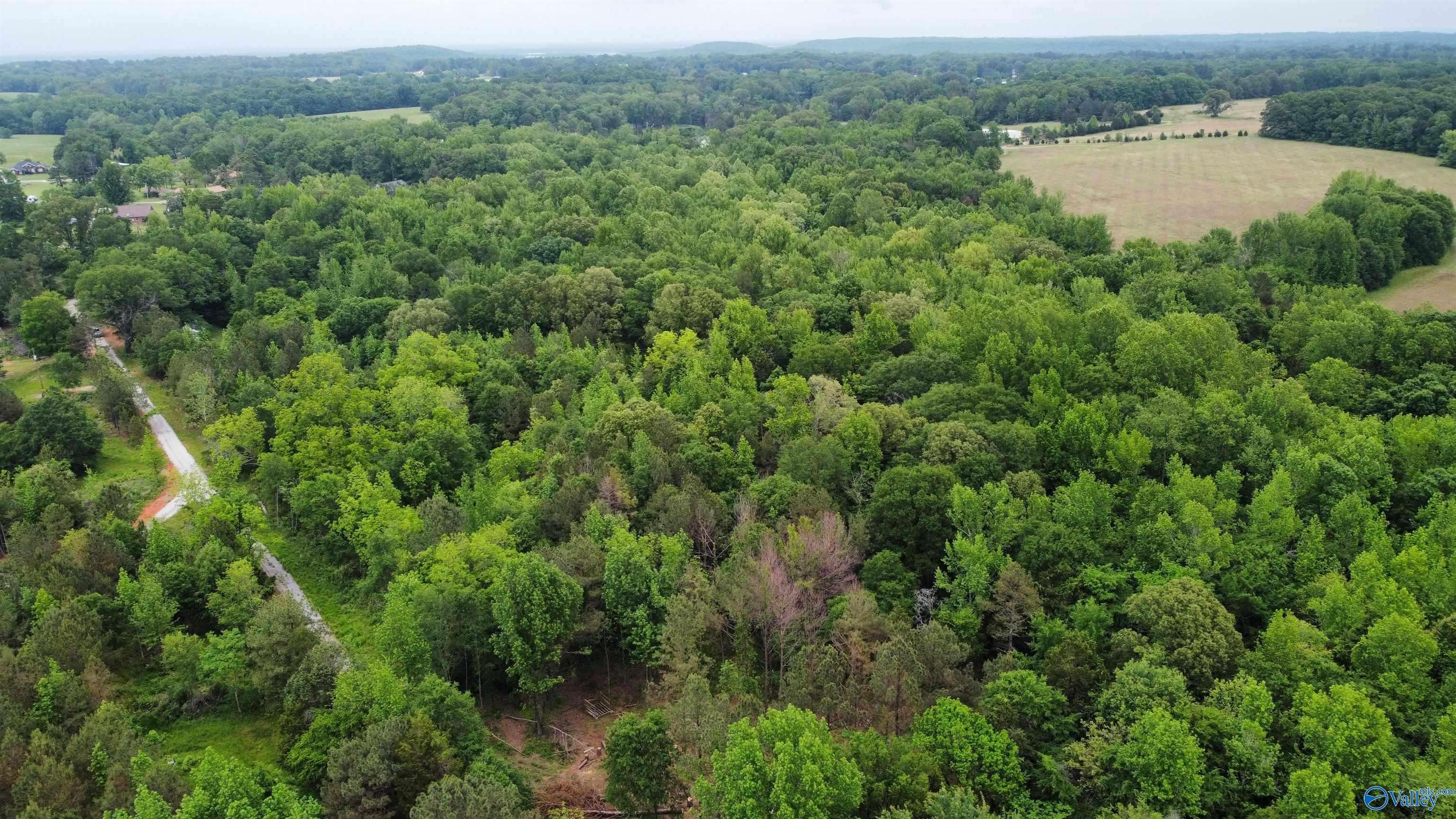 Hartselle, AL 35640,6.31 Acres Herring Road