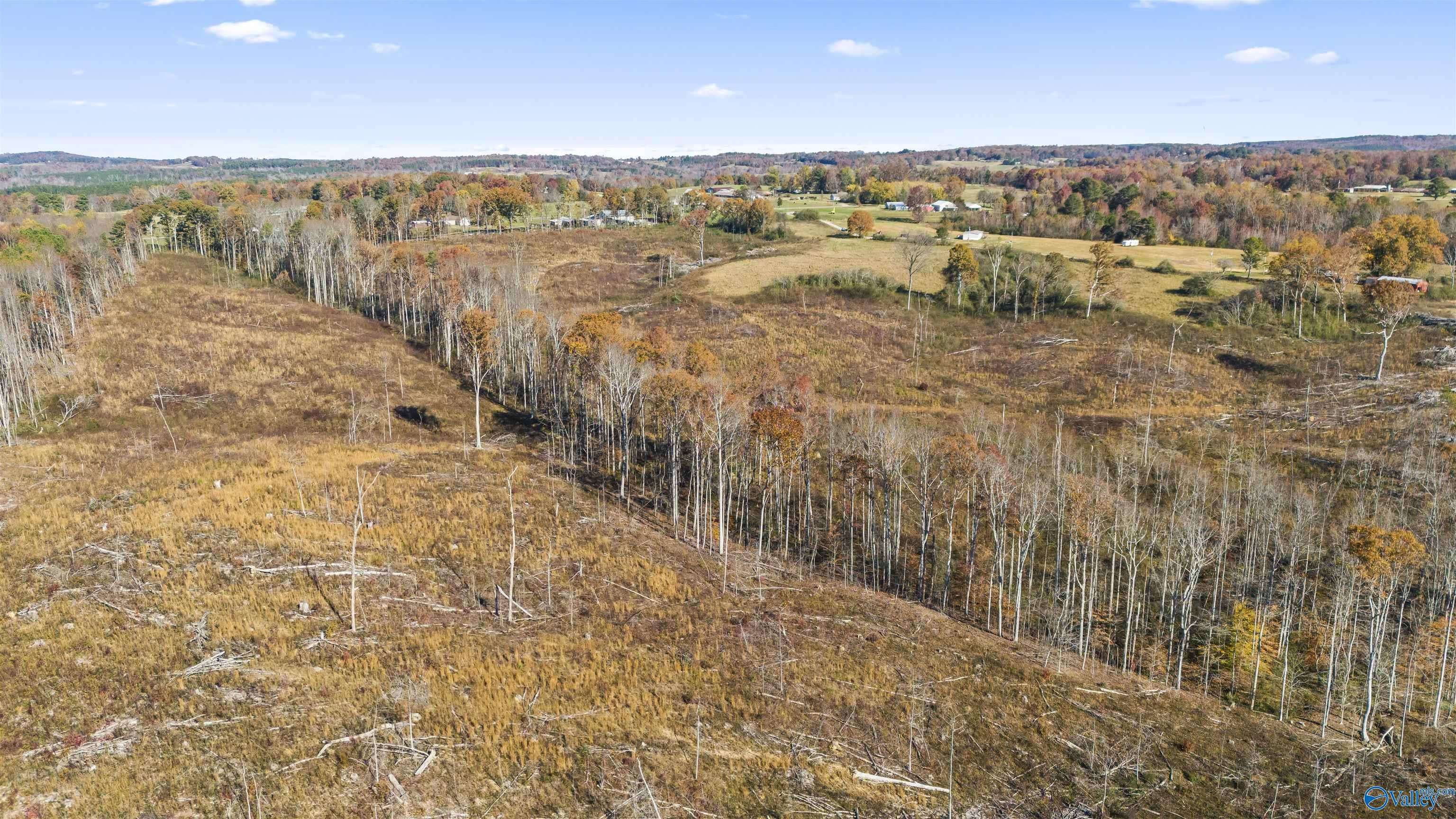 Vinemont, AL 35179,193 AC County Road 1069