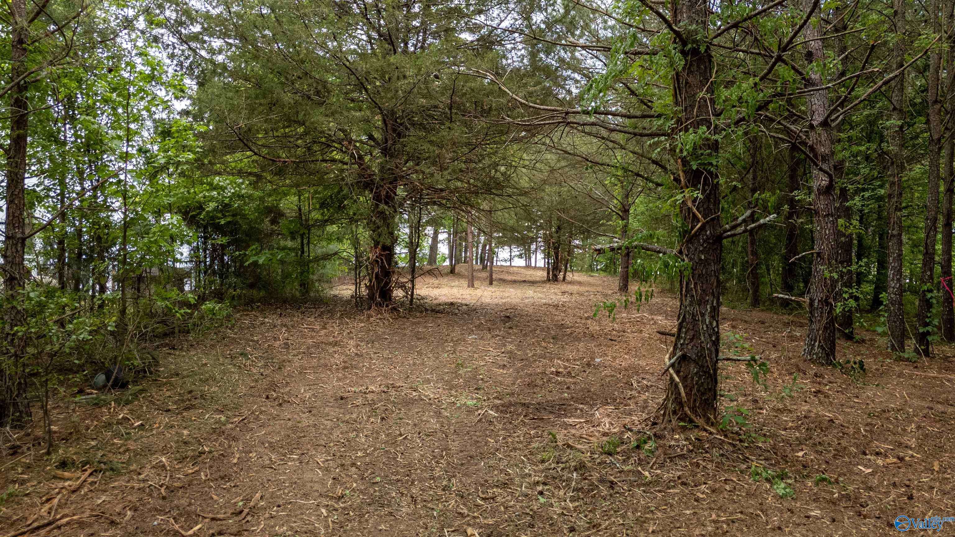 Centre, AL 35960,1.12 AC County Road 462