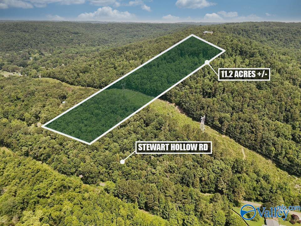 Grant, AL 35747,415 Stewart Hollow Road