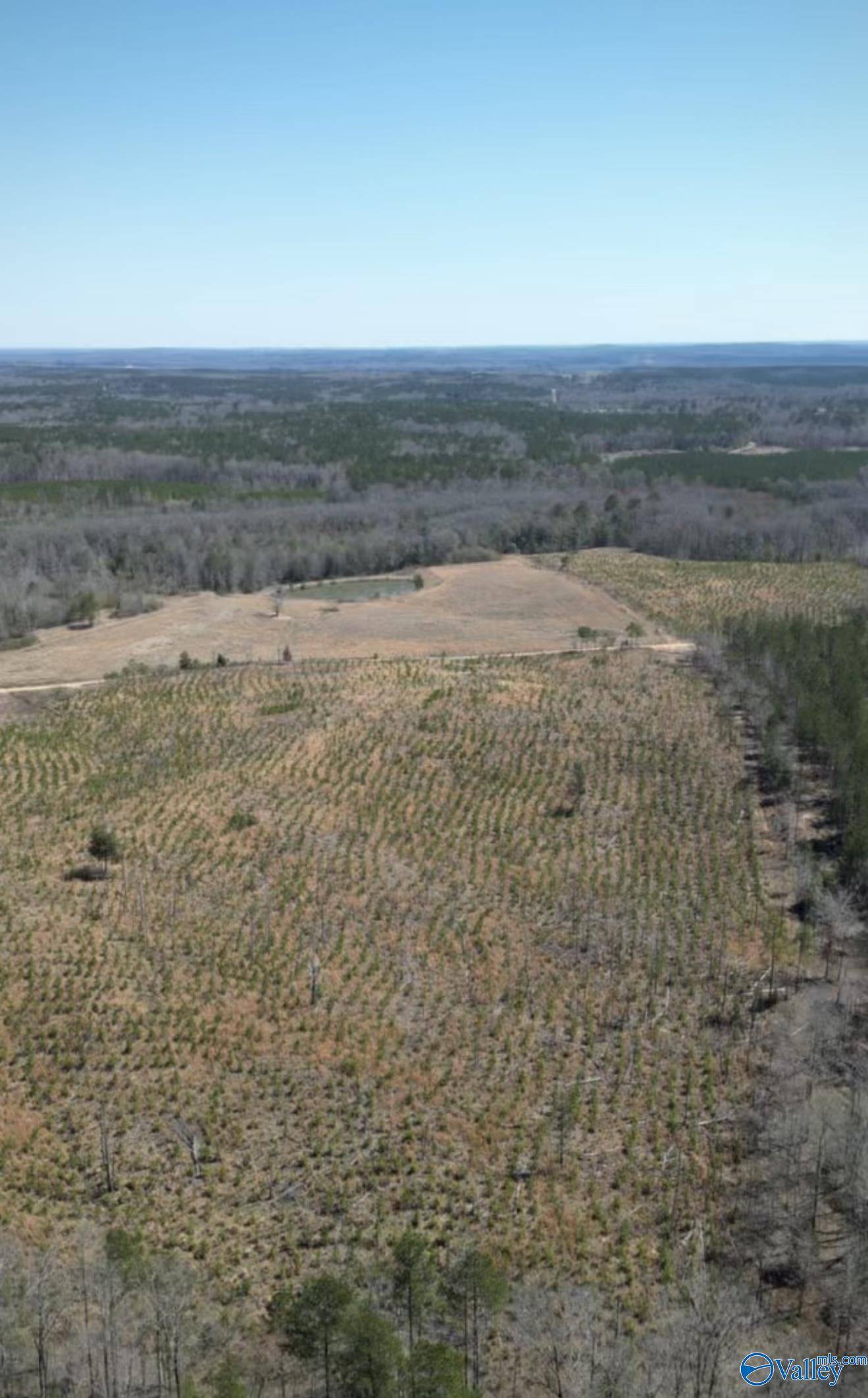Winfield, AL 35594,3.03 acre Lot#2 Kuydendall Road