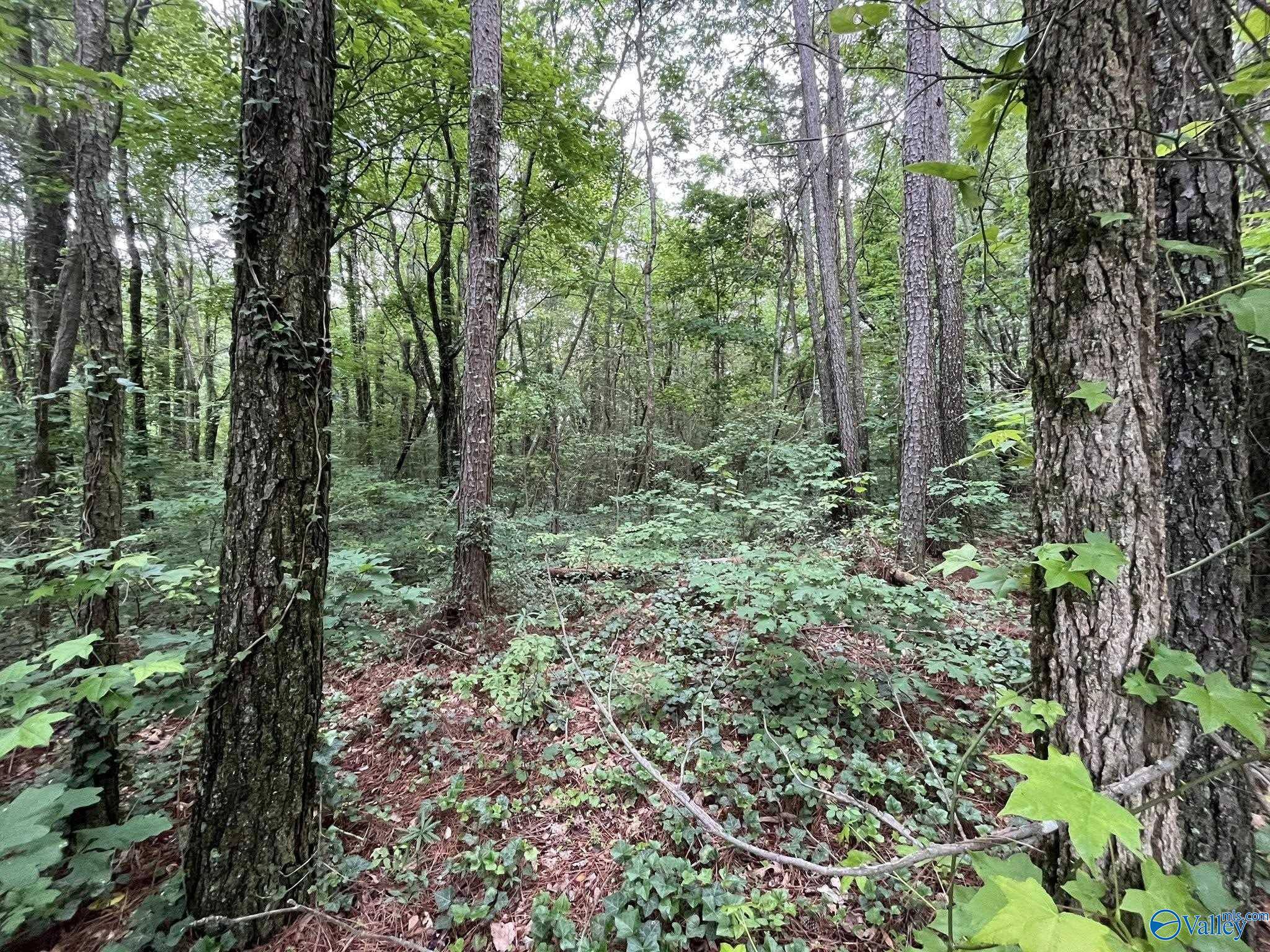 Fort Payne, AL 35967,0.83 Oakhill Road NE