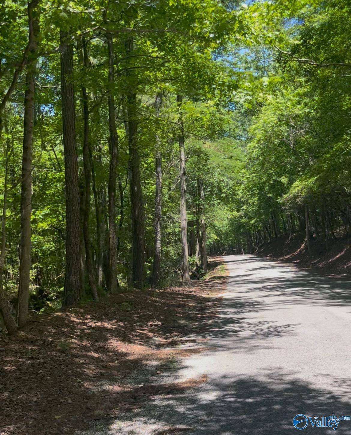 Gadsden, AL 35901,5 acres Owls Hollow Road