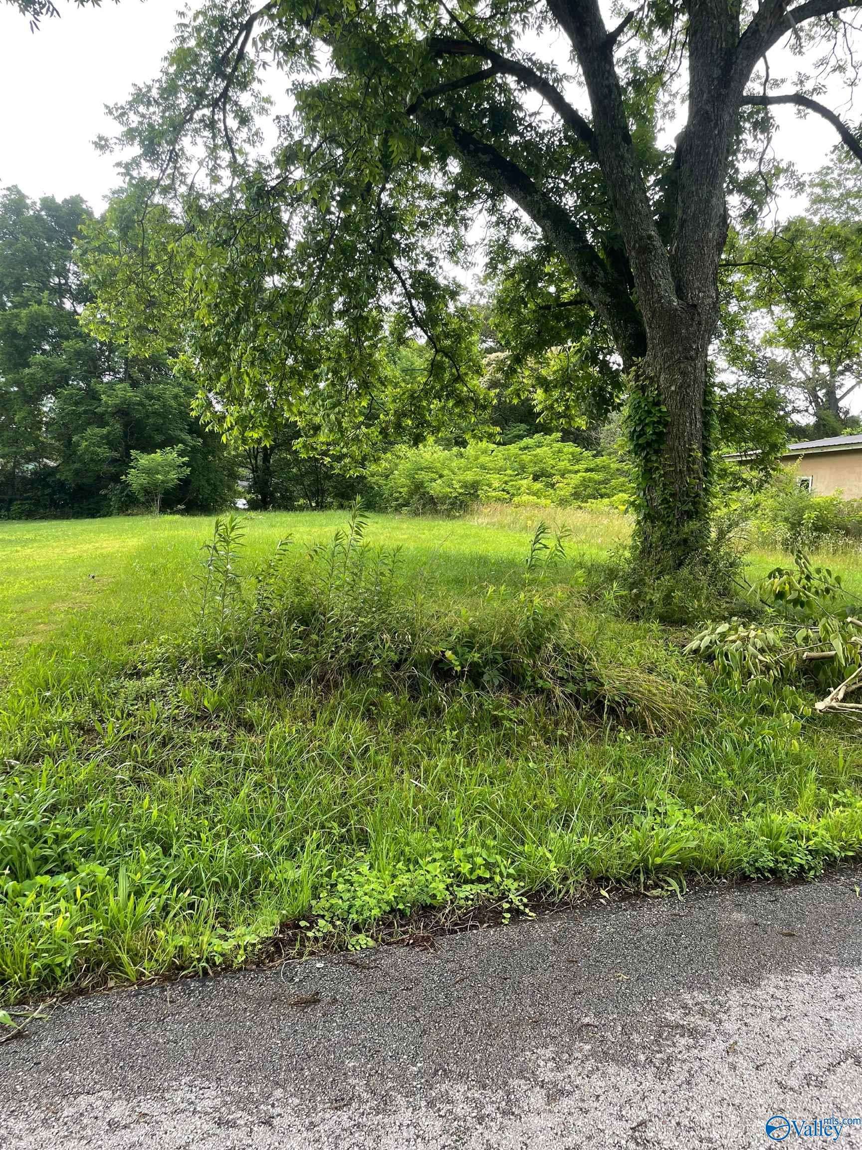 Arab, AL 35016,LOT 54' OFF W5 NW 3rd Avenue NW