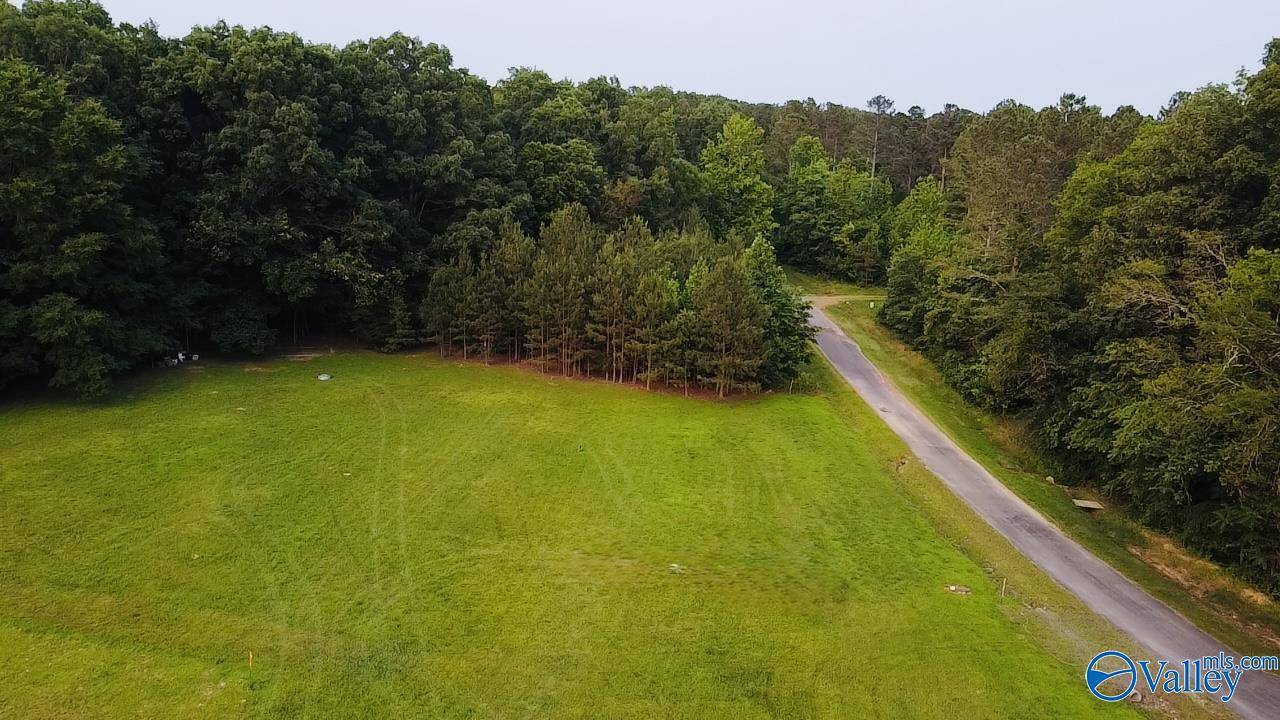 Lester, AL 35647,4.14 Acres Salem Minor Hill Road