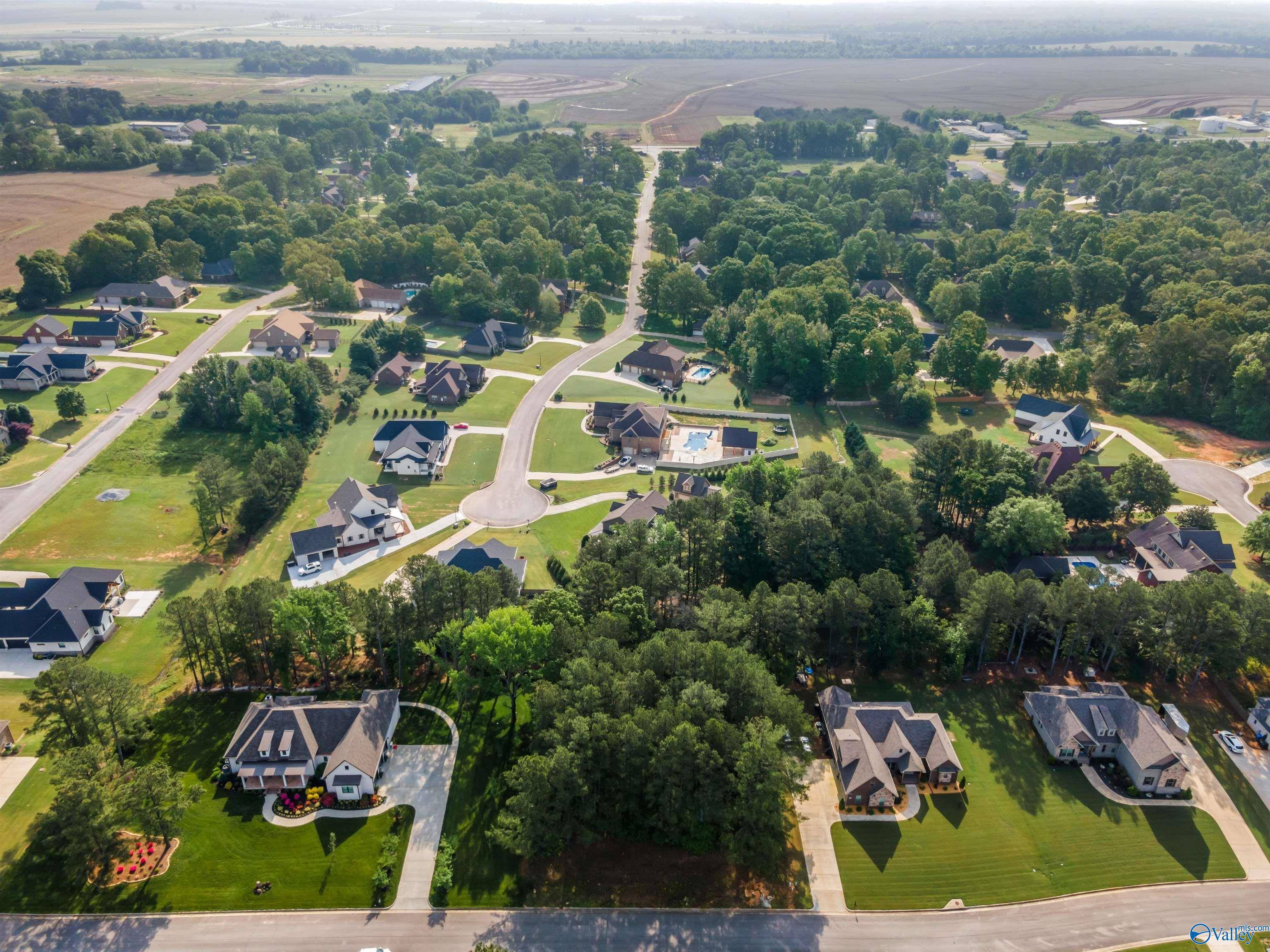 Tanner, AL 35671,Lot 166 Capitol Hill Drive