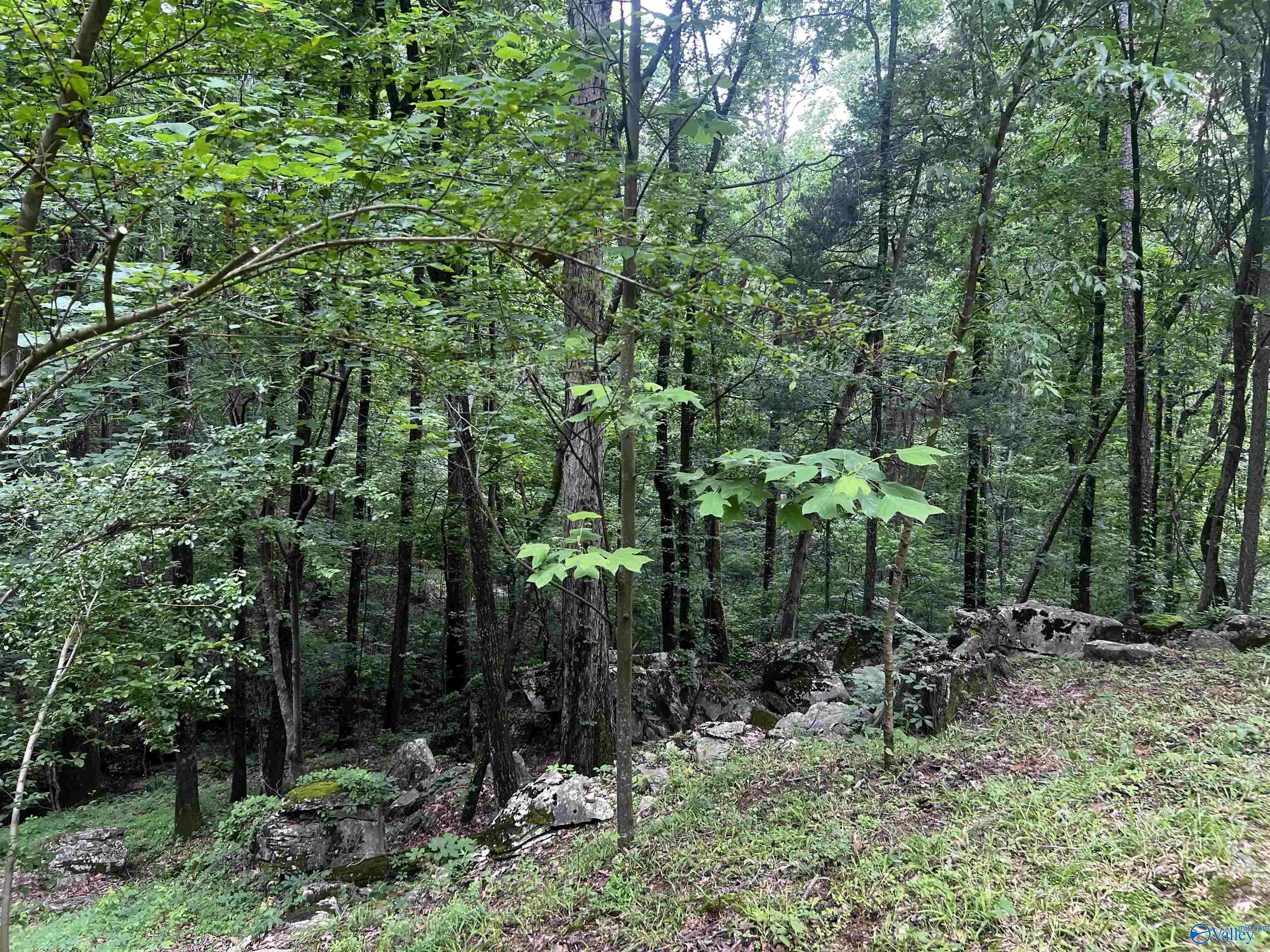 Decatur, AL 35603,1727 SW Chestnut Mountain Road