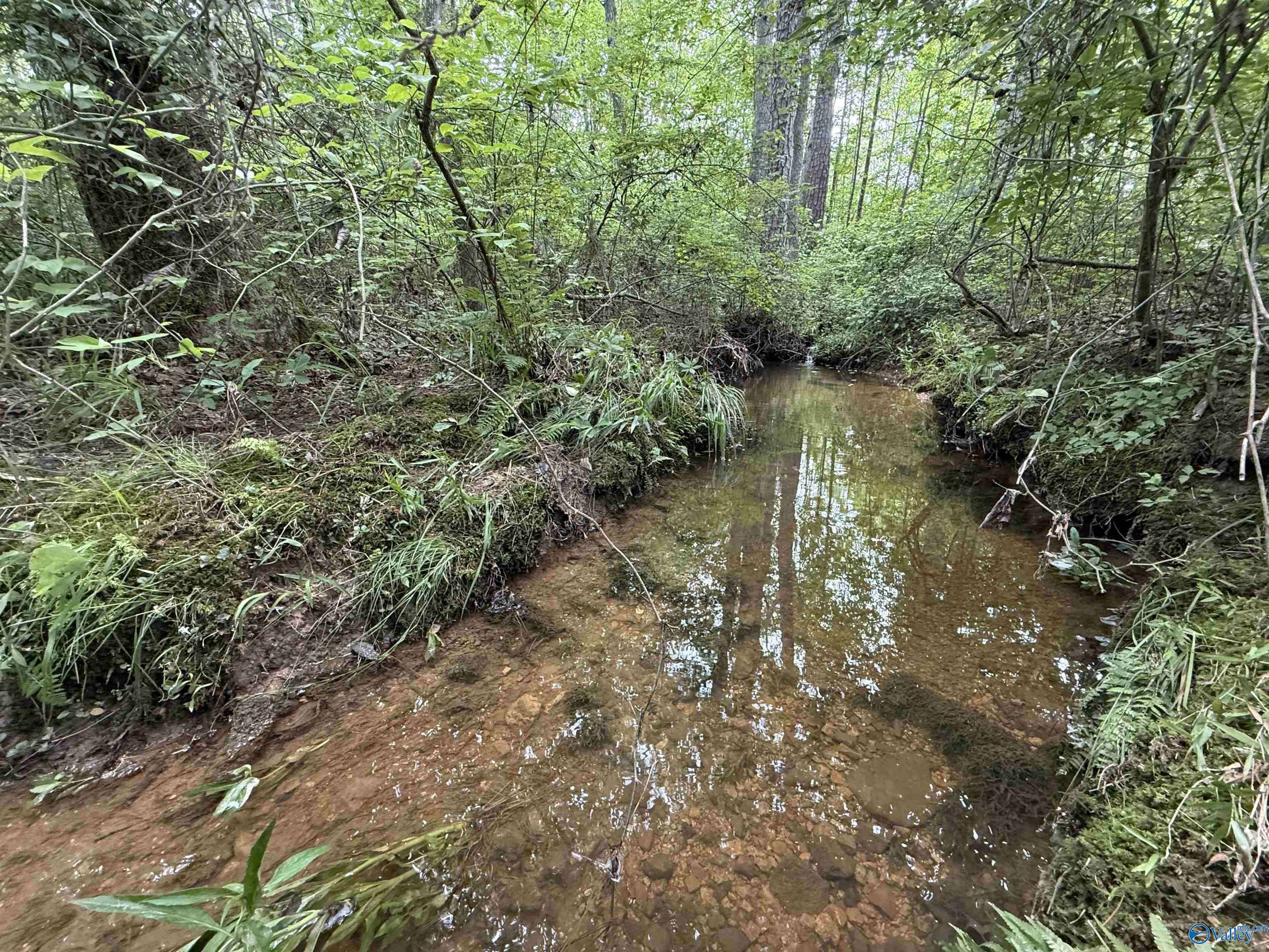 Mentone, AL 35984,235 County Road 641
