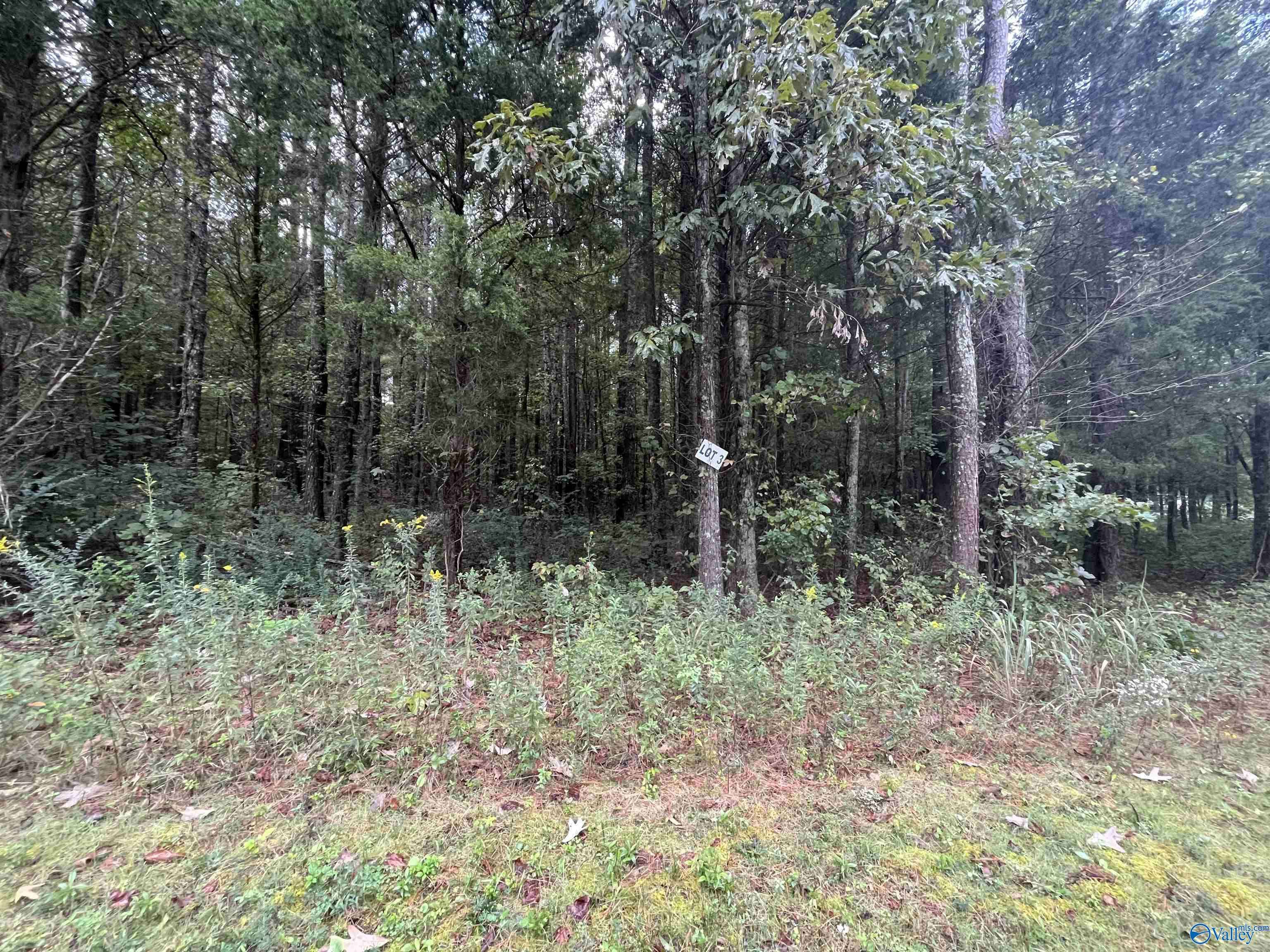 Decatur, AL 35603,517 Austinville Flint Road SW