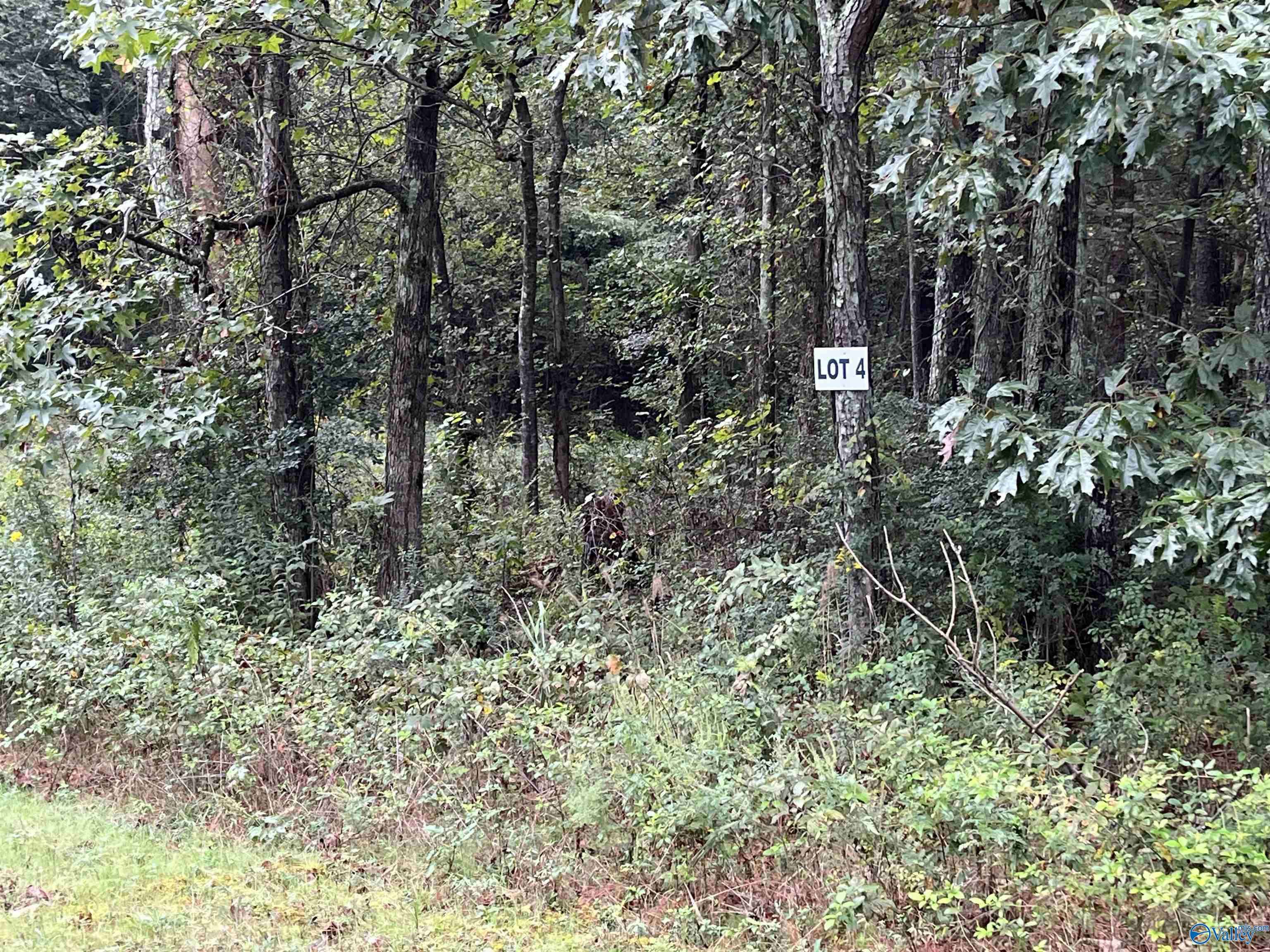 Decatur, AL 35603,505 Austinville Flint Road SW