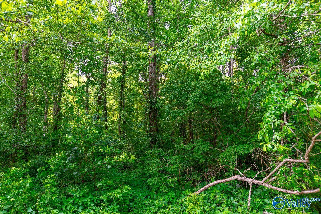 Hazel Green, AL 35750,Bobo Section Bobo Section Road