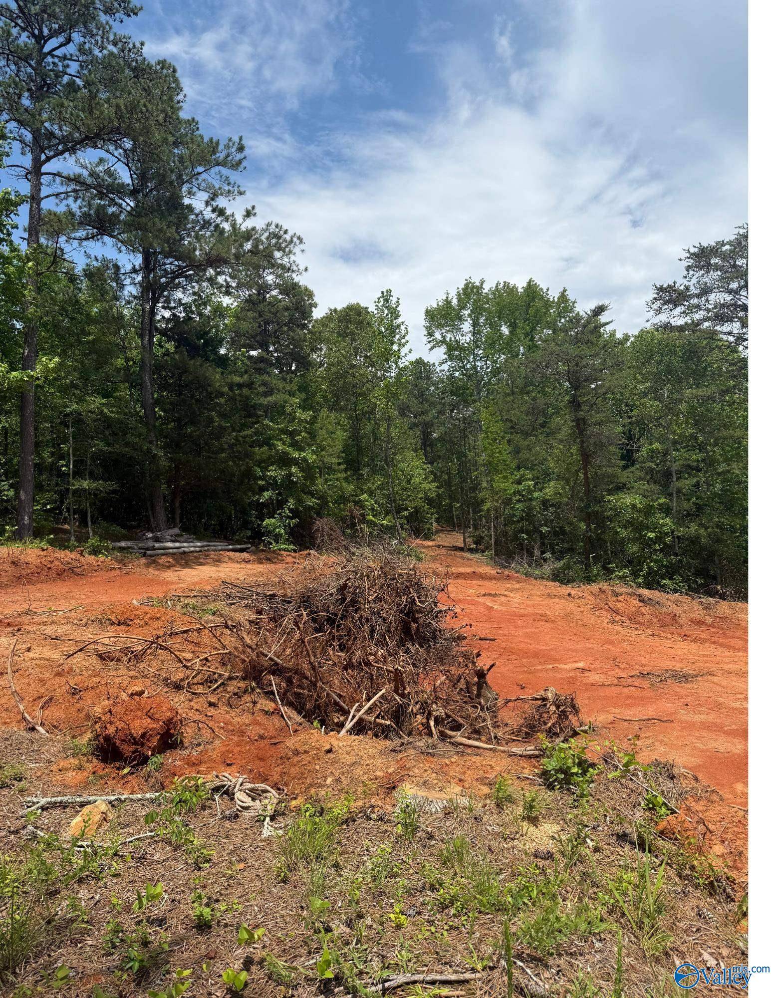 Gadsden, AL 35904,7451 Scenic Highway