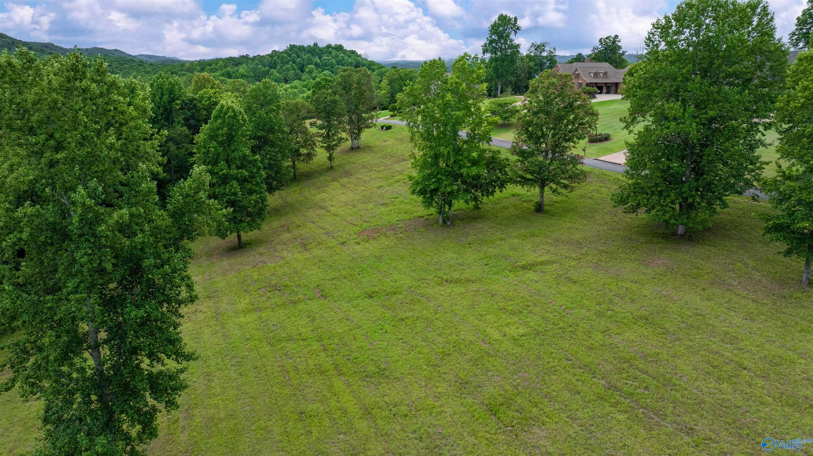 Valley Head, AL 35989,Lot 22 County Road 1027