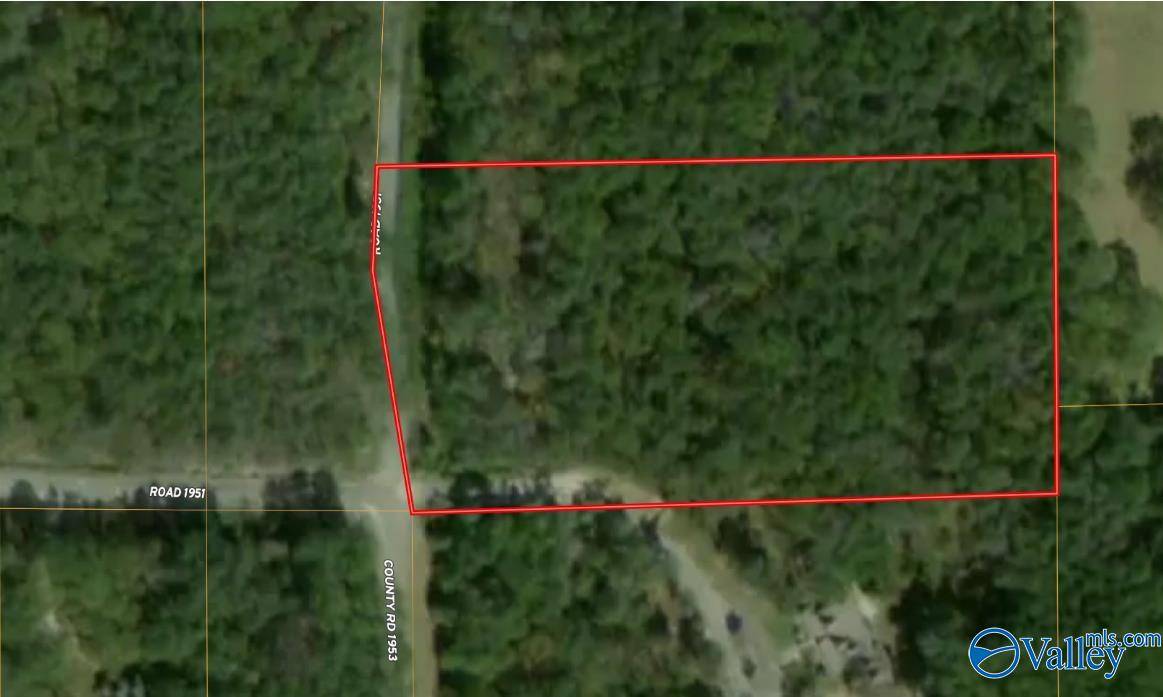Mentone, AL 35984,Lot 32 County Road 1951
